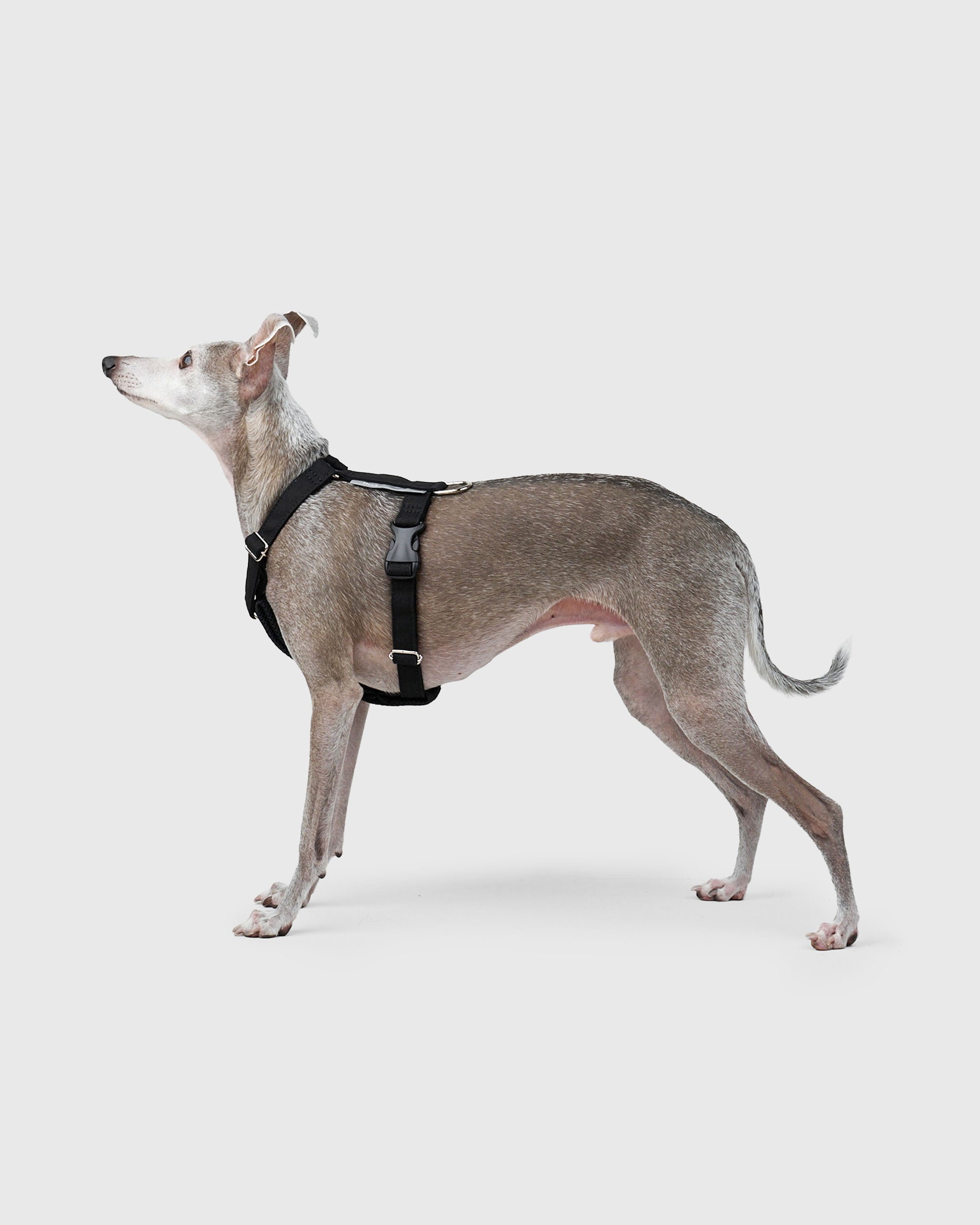 HOWLY UNIVERSAL HARNESS