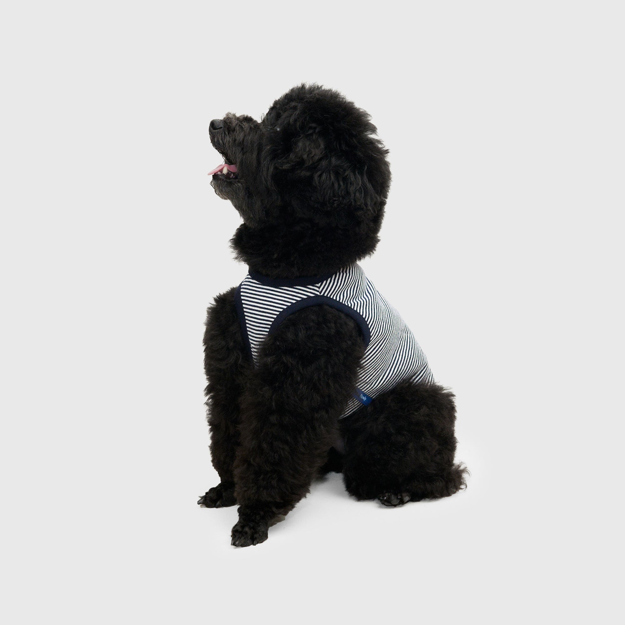 DOG PACK T-SHIRTS sleeveless (Border)