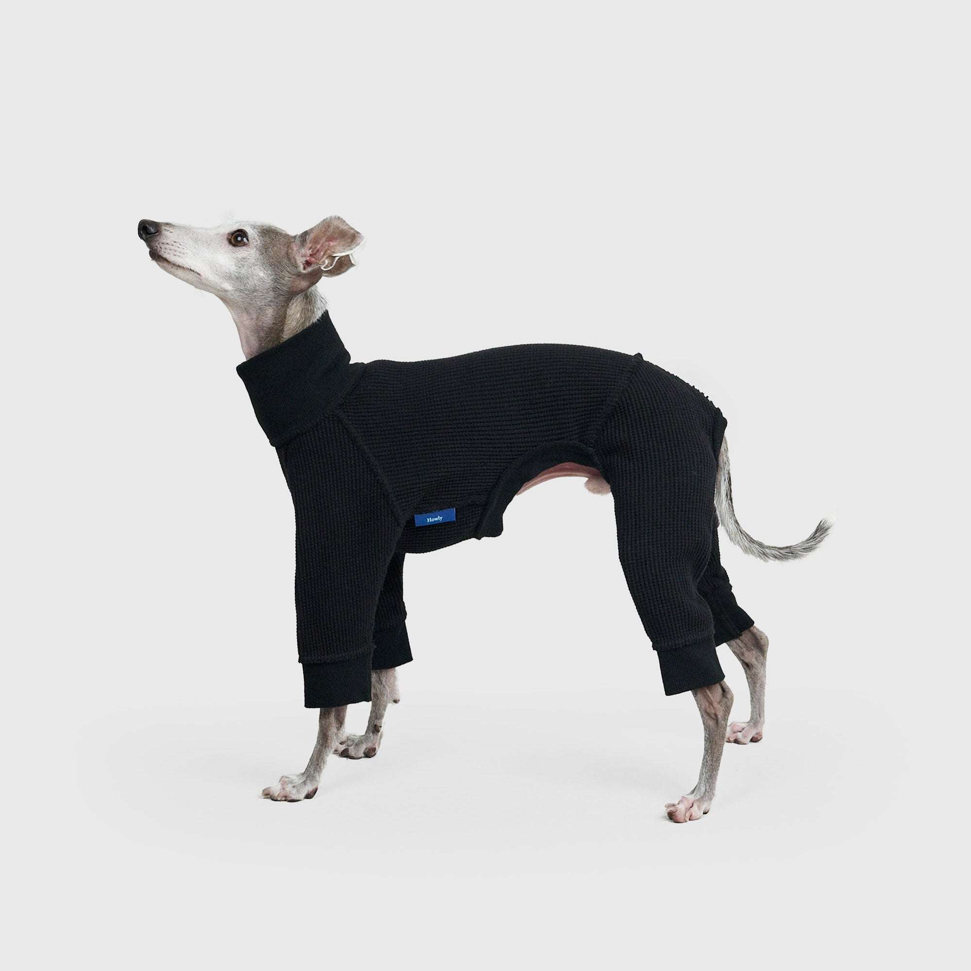 THERMAL HIGH-NECKED ROMPERS ドッグサーマル