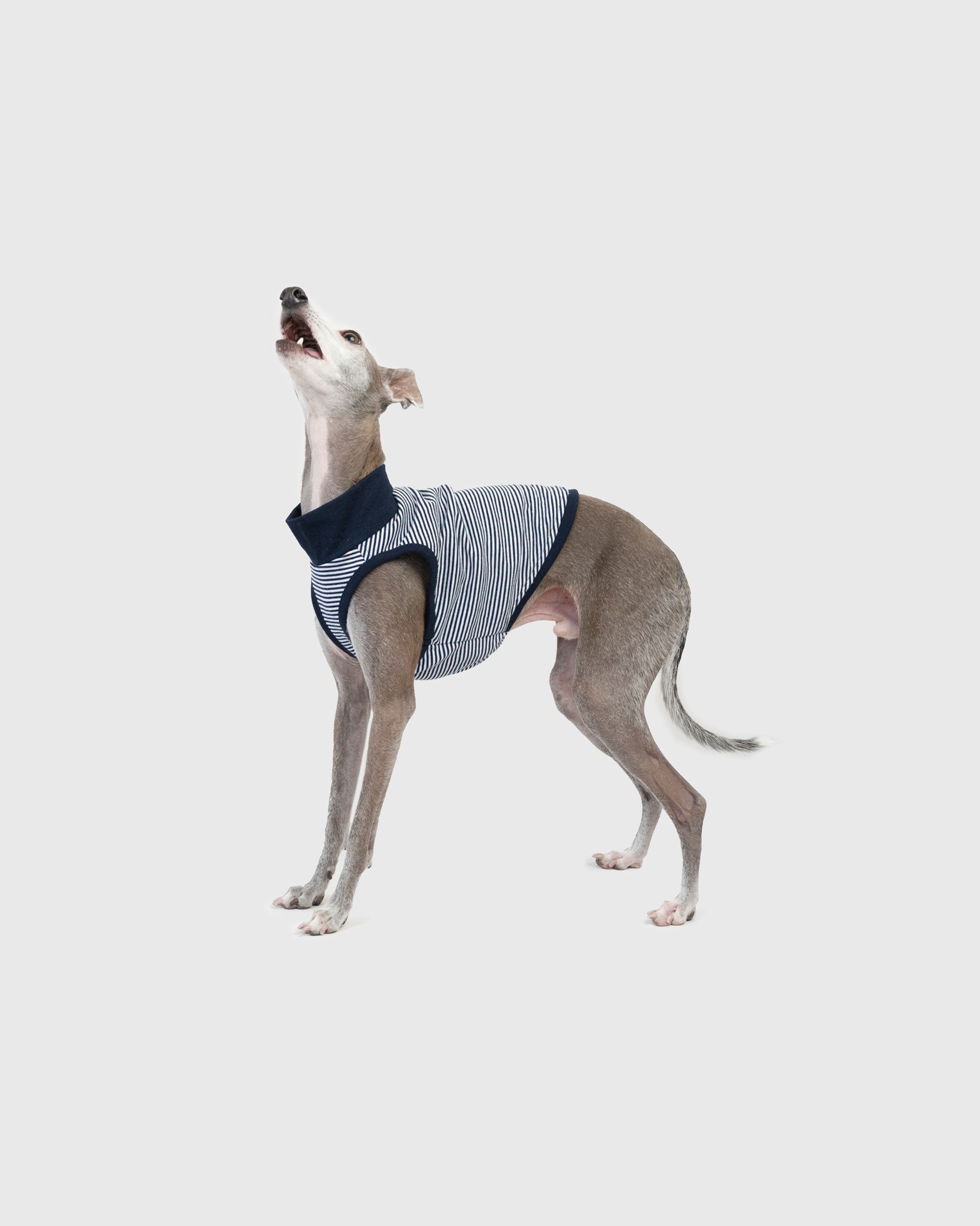 DOG PACK T-SHIRTS sleeveless (Border)