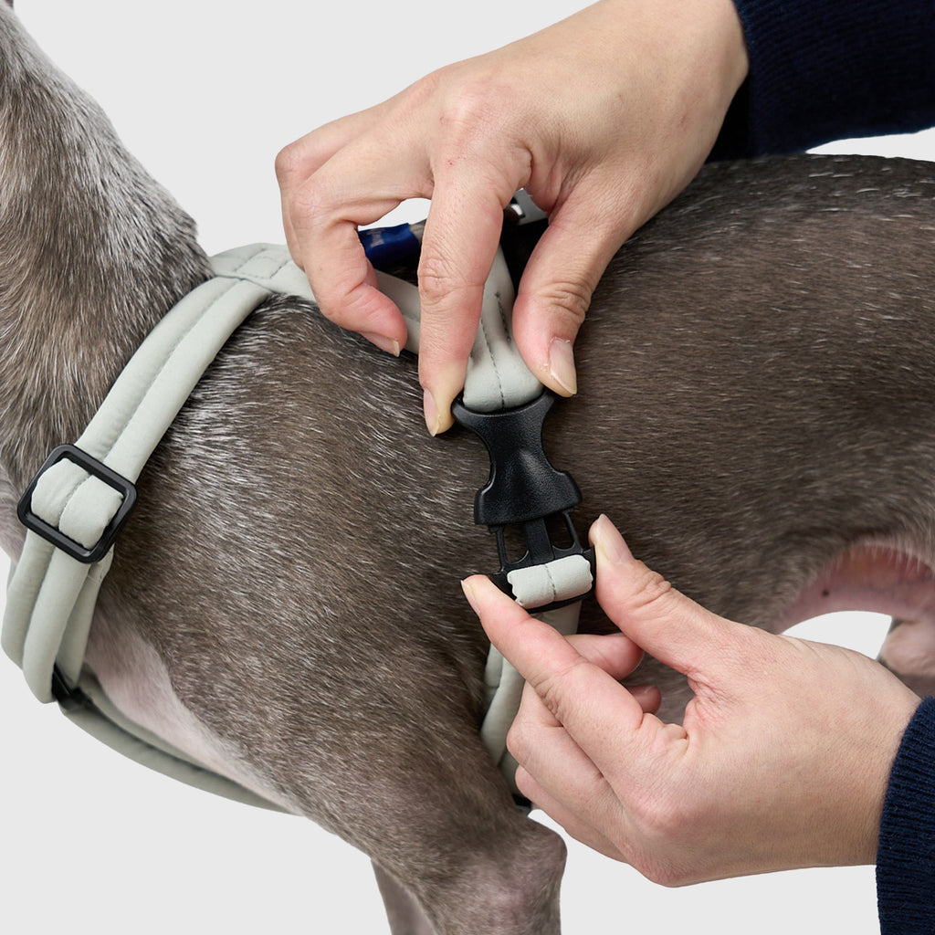 MALLOW-CORE™ HARNESS