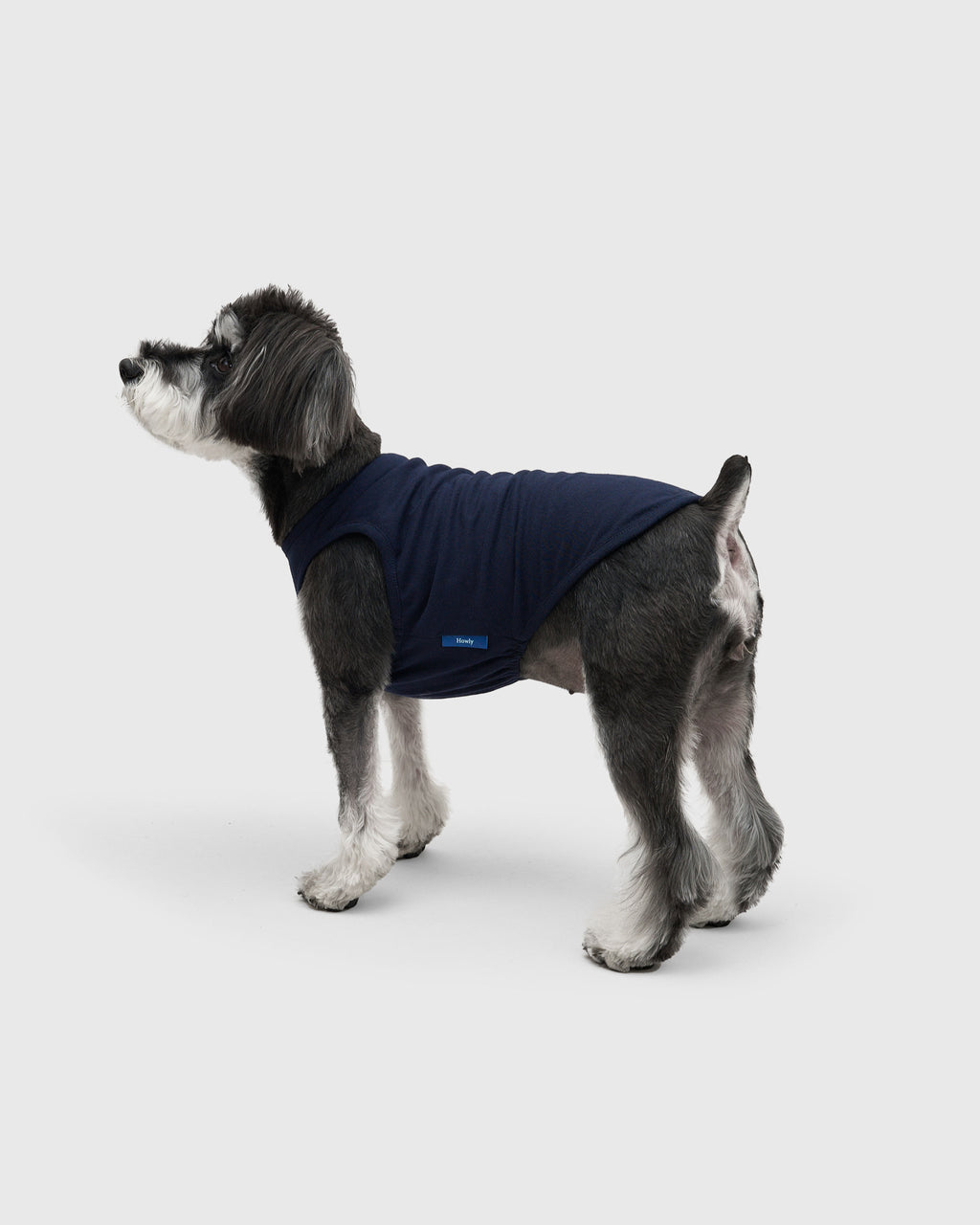 DOG PACK T-SHIRTS sleeveless (Border)