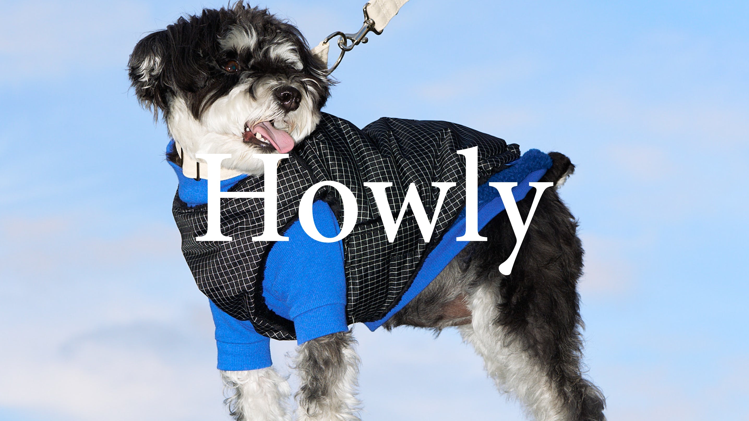 Howly(ハウリー) 3_f27cc419-575b-4d21-a672-