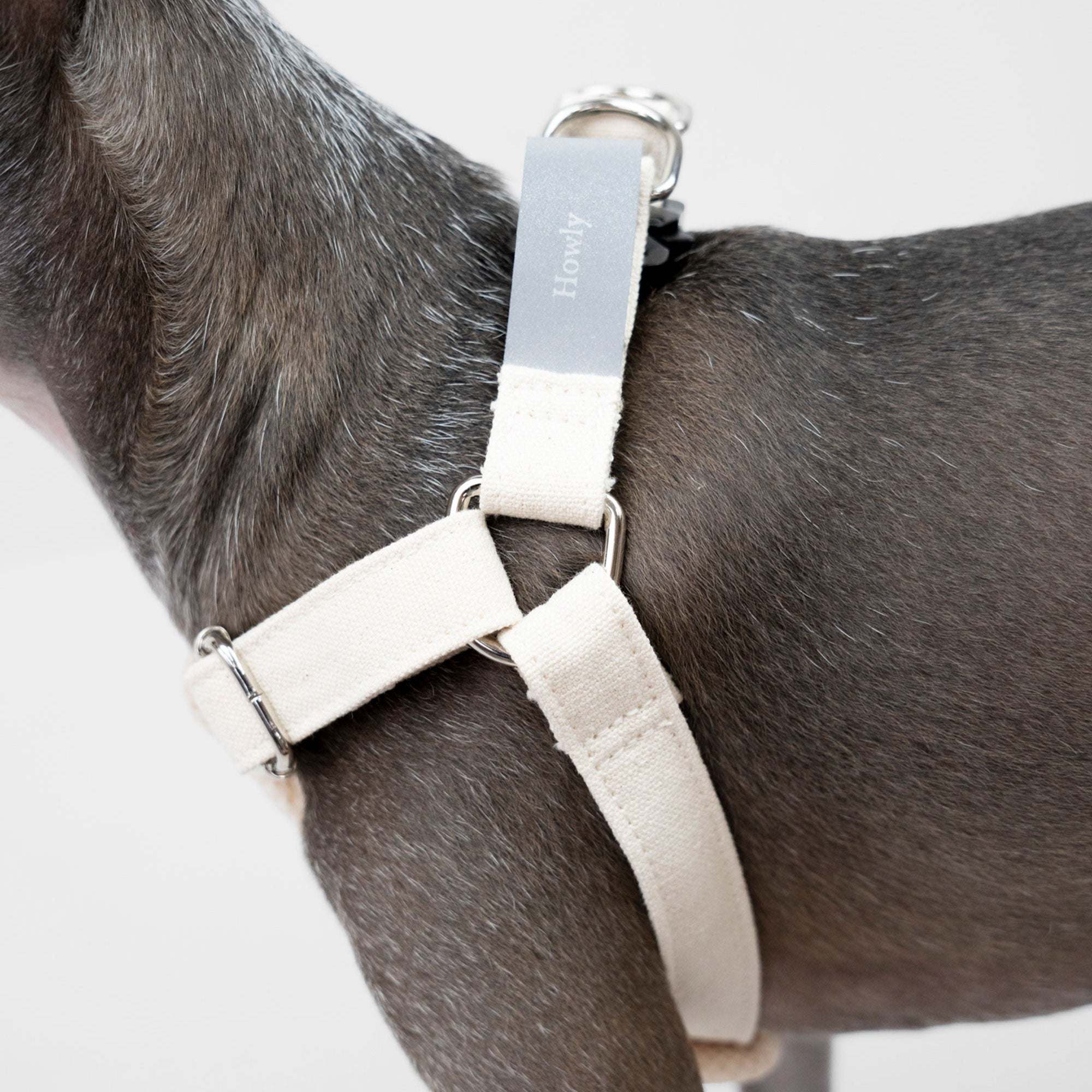 HOWLY UNIVERSAL HARNESS | ドッグハーネス