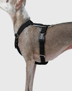 HOWLY UNIVERSAL HARNESS