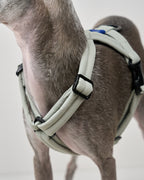 MALLOW-CORE™ HARNESS