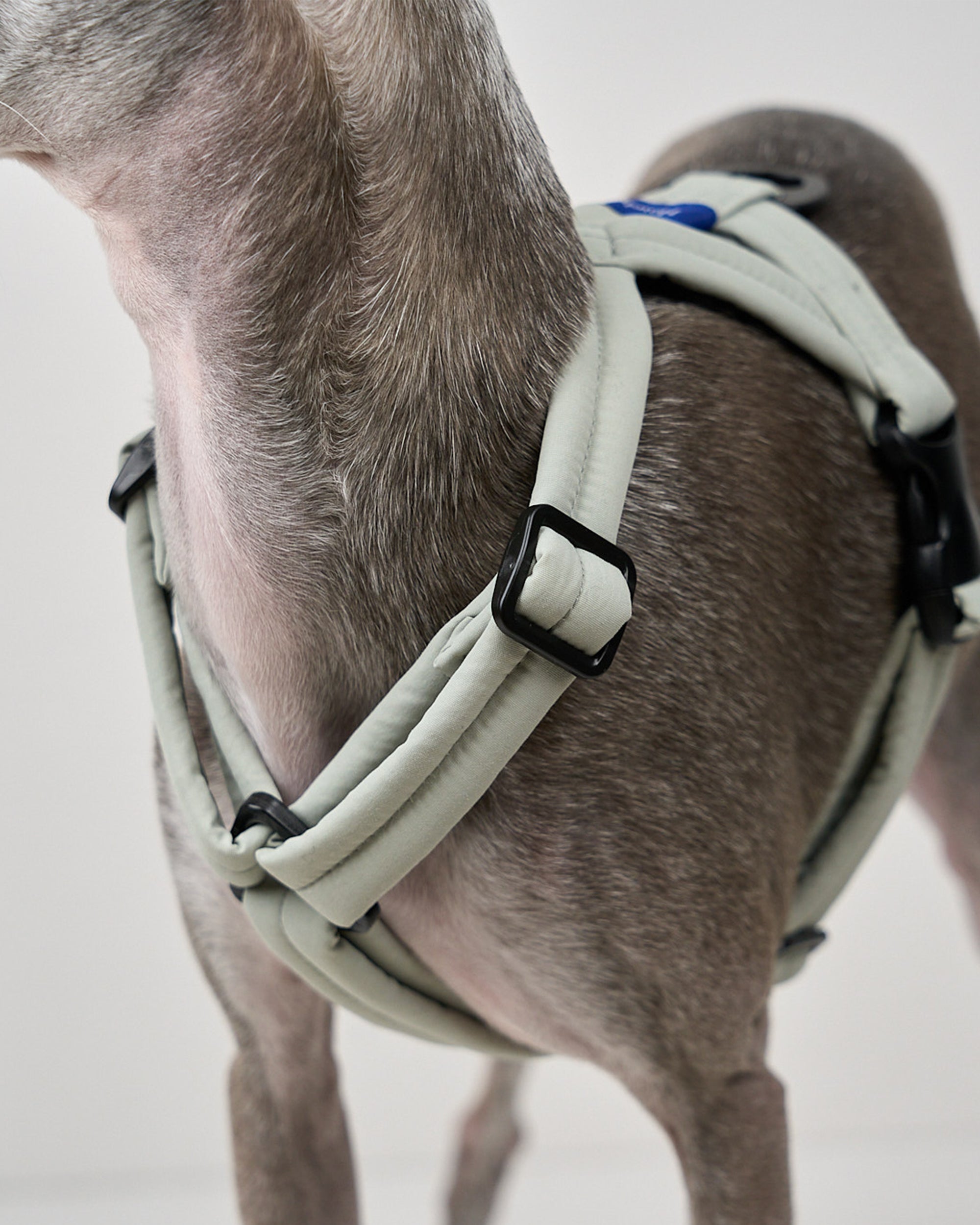 MALLOW-CORE™ HARNESS