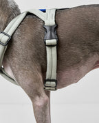 MALLOW-CORE™ HARNESS