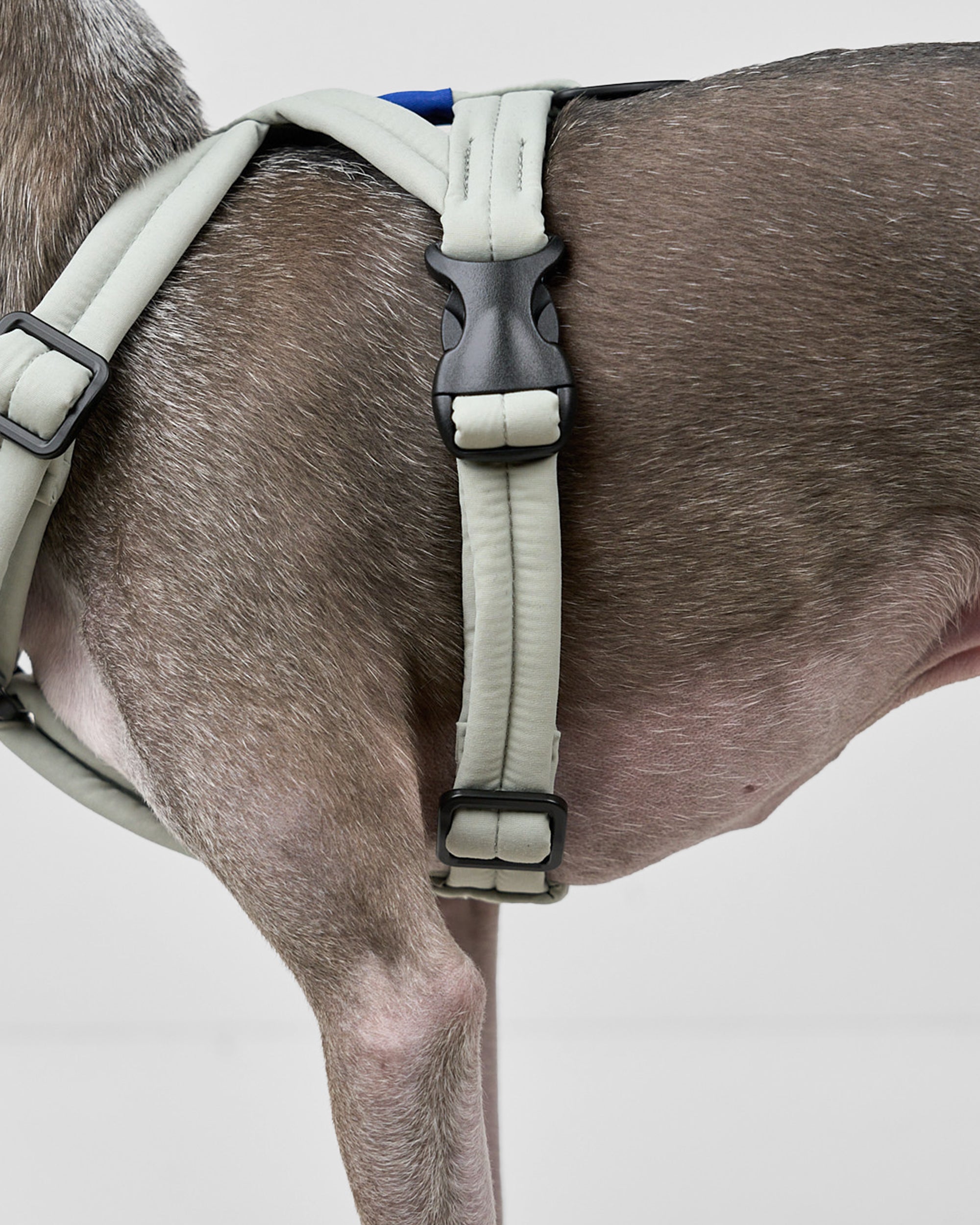 MALLOW-CORE™ HARNESS