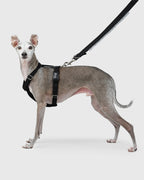 HOWLY UNIVERSAL HARNESS