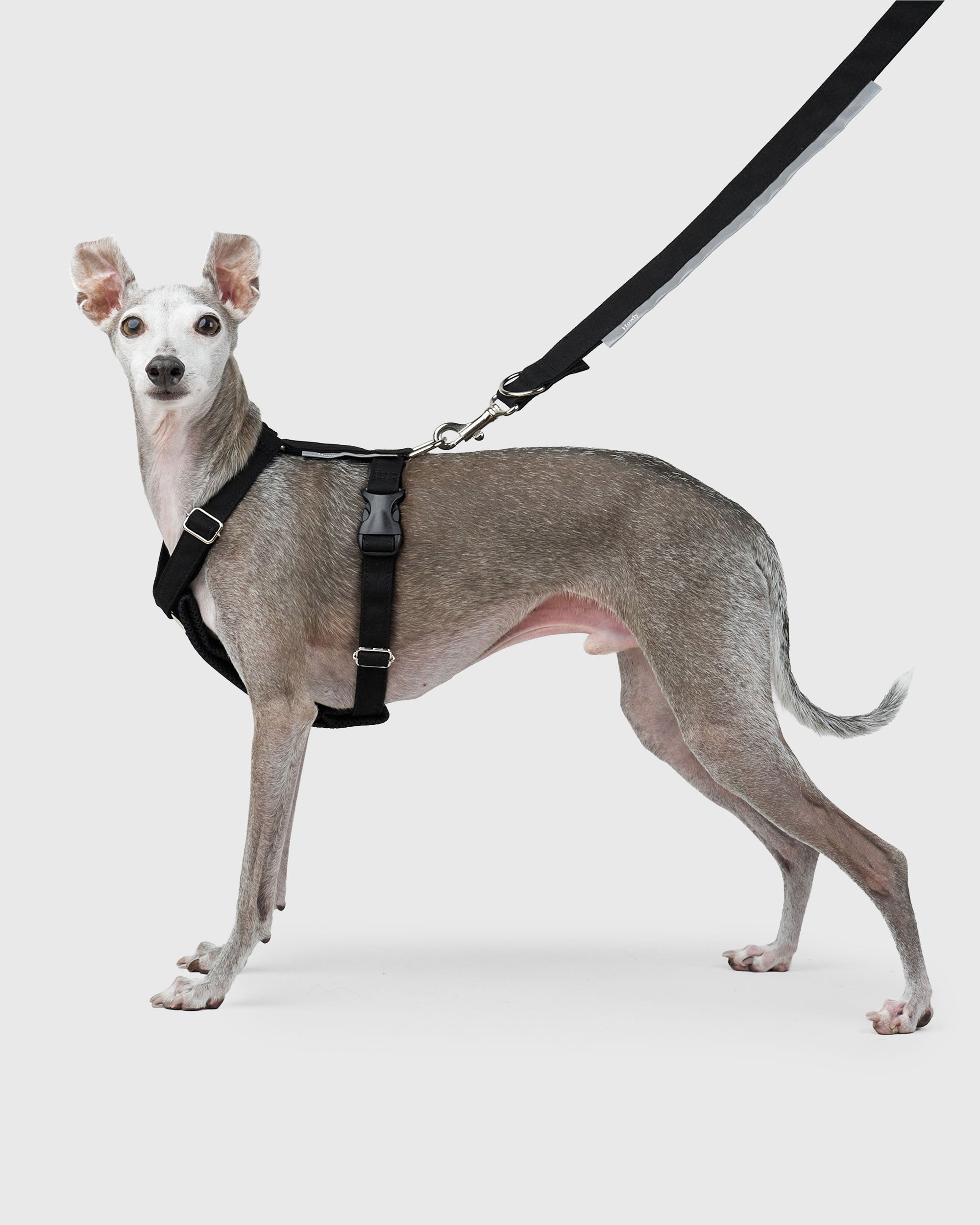 HOWLY UNIVERSAL HARNESS