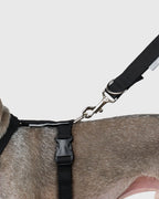 HOWLY UNIVERSAL HARNESS