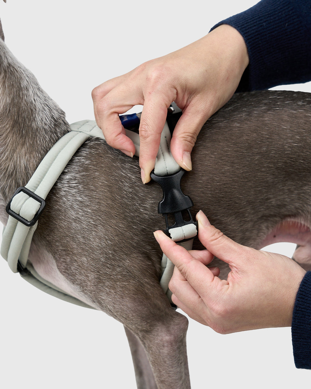MALLOW-CORE™ HARNESS