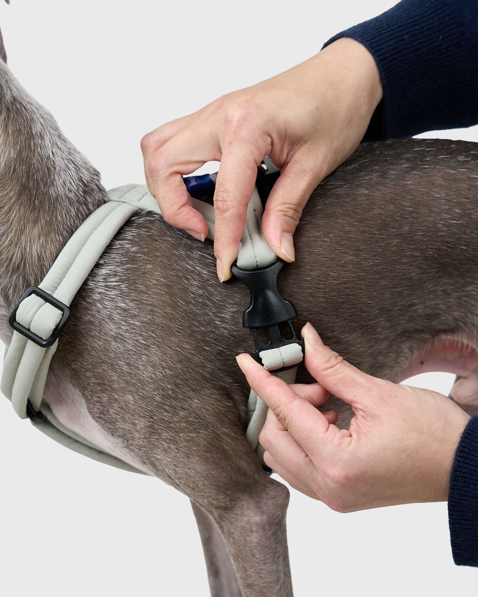 MALLOW-CORE™ HARNESS