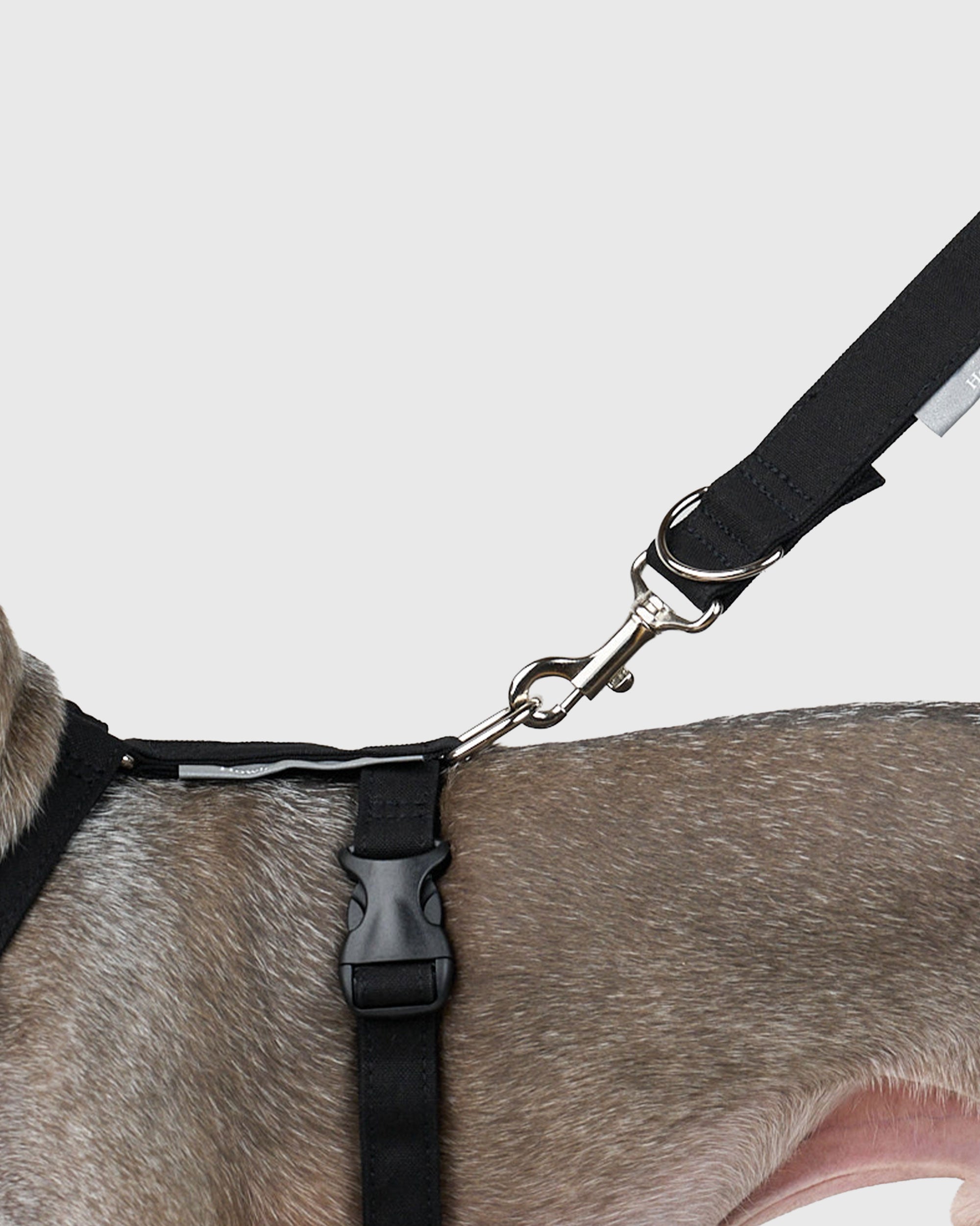 HOWLY UNIVERSAL LEASH