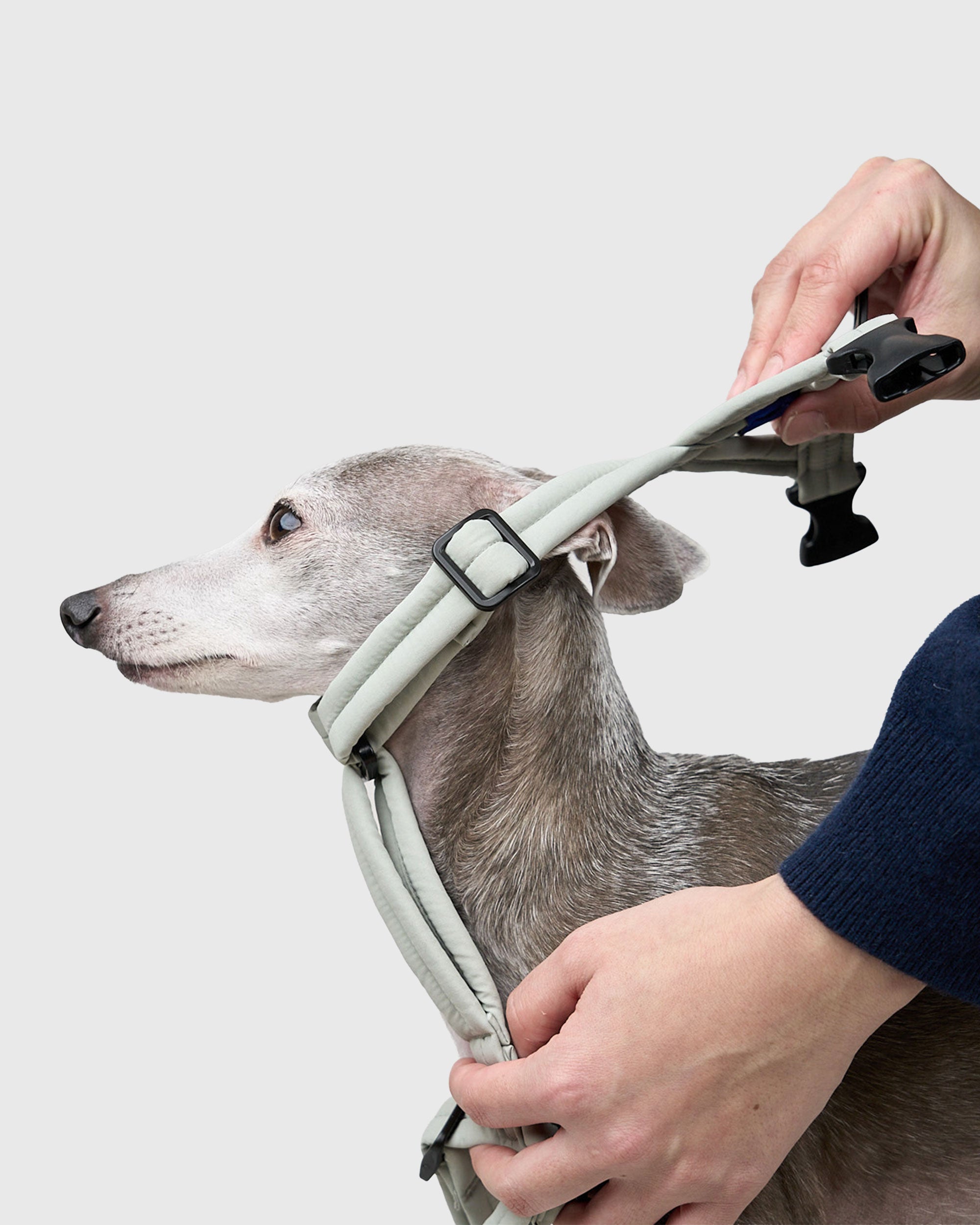MALLOW-CORE™ HARNESS
