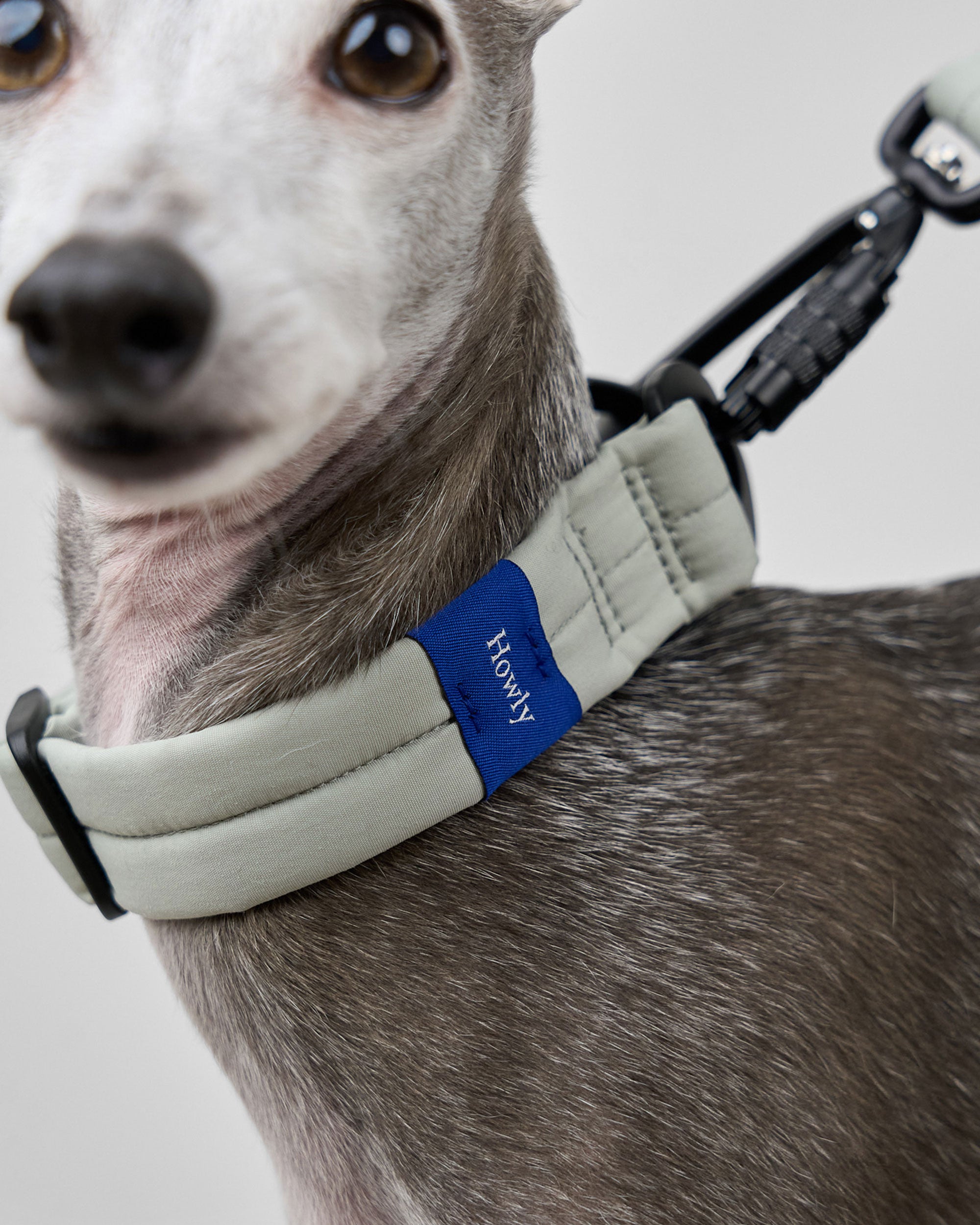 MALLOW-CORE™ COLLAR