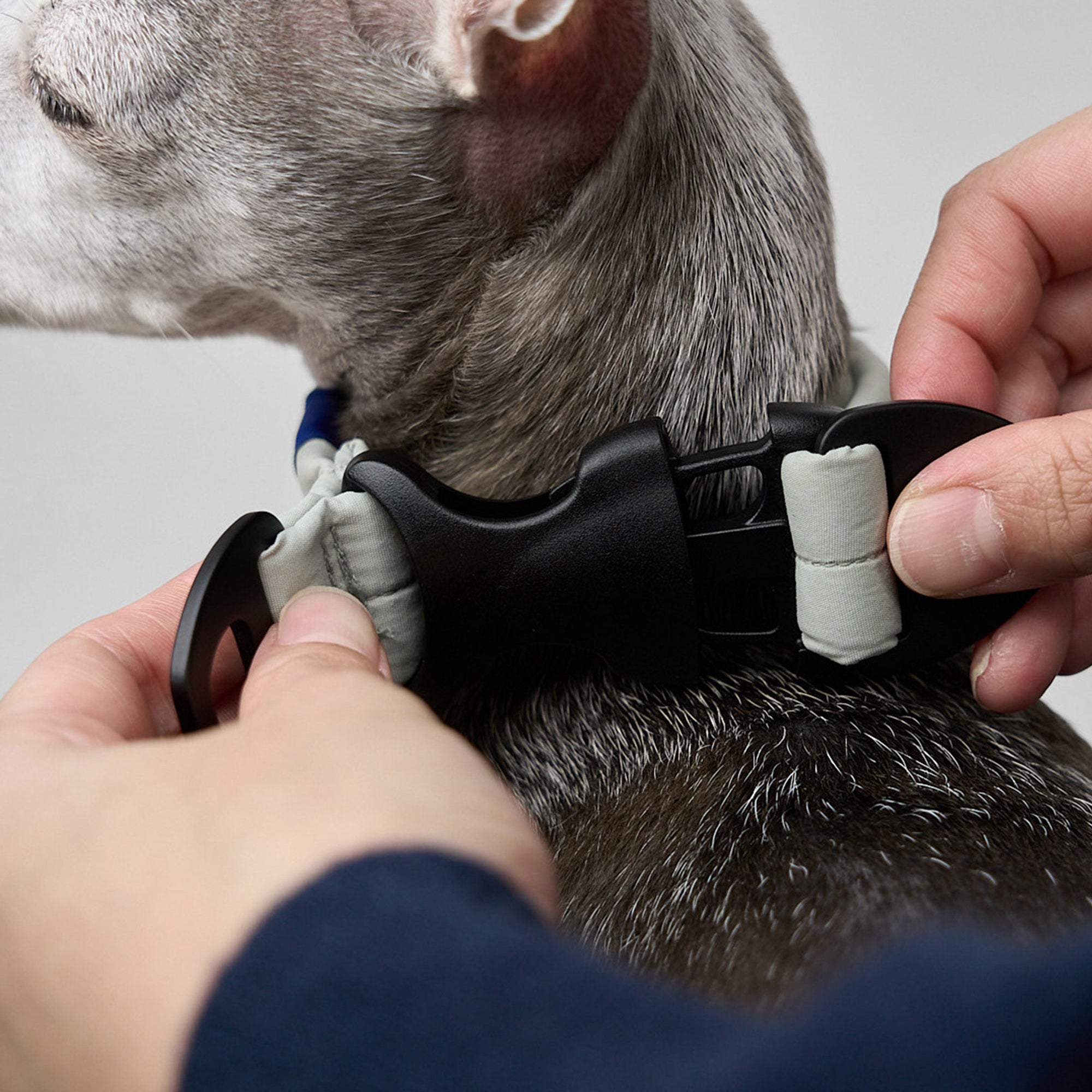 MALLOW-CORE™ COLLAR