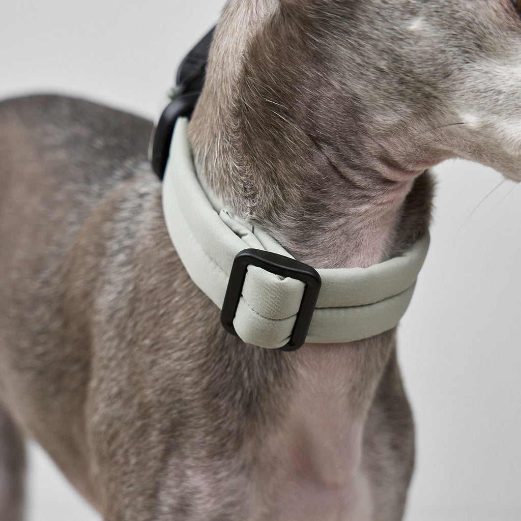 MALLOW-CORE™ COLLAR
