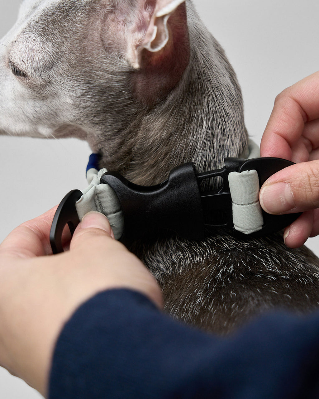 MALLOW-CORE™ COLLAR