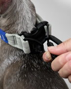MALLOW-CORE™ COLLAR