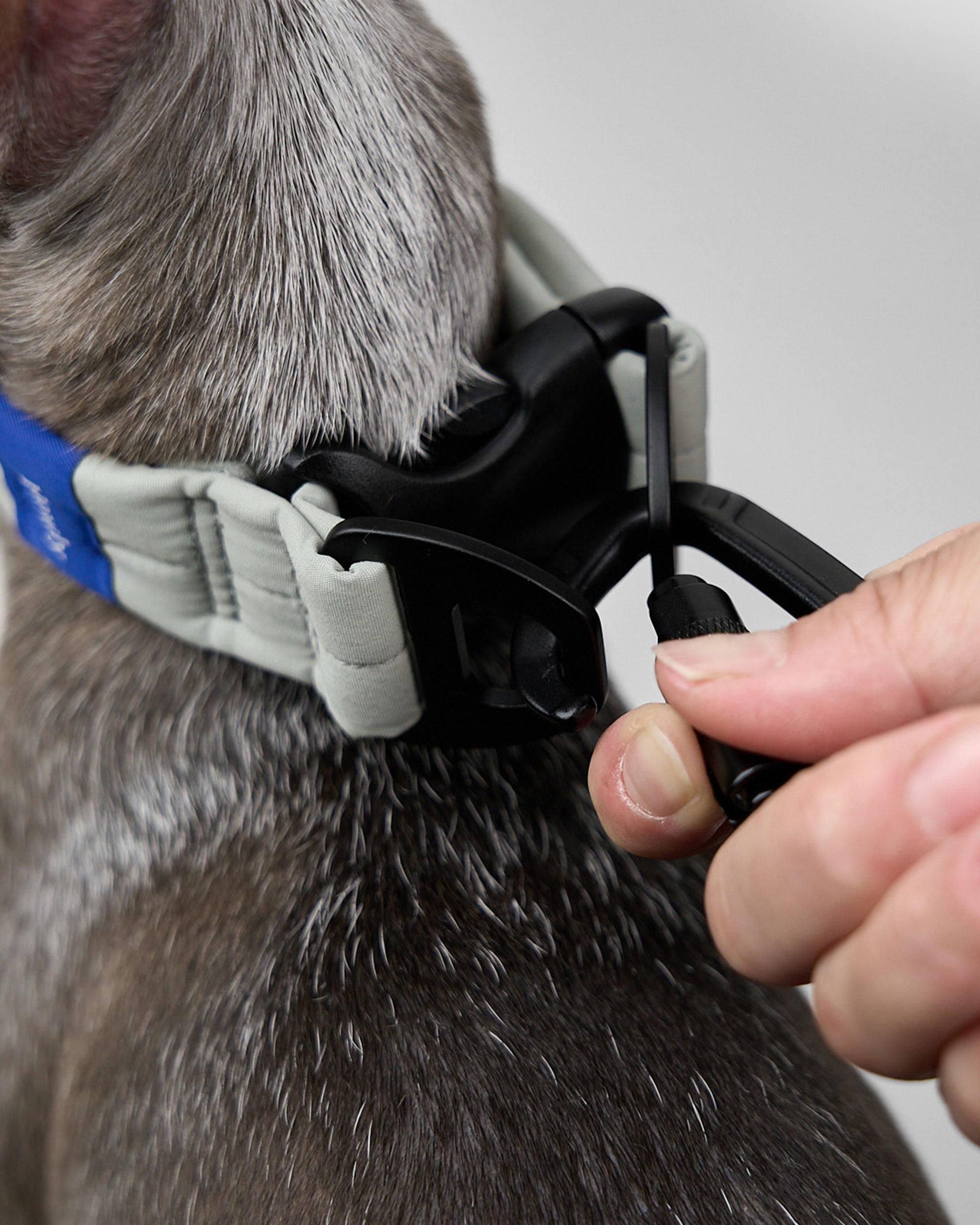 MALLOW-CORE™ COLLAR
