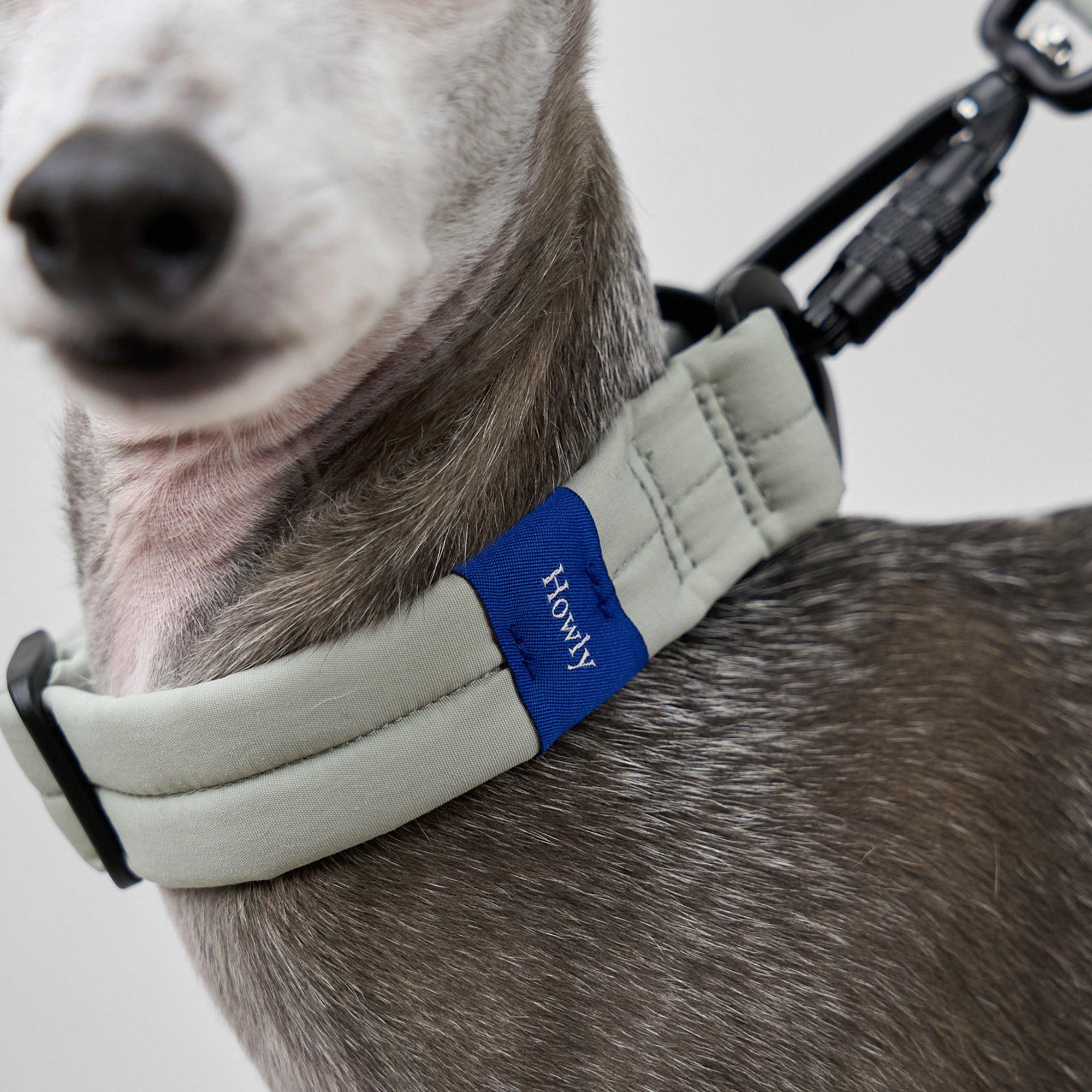 MALLOW-CORE™ COLLAR