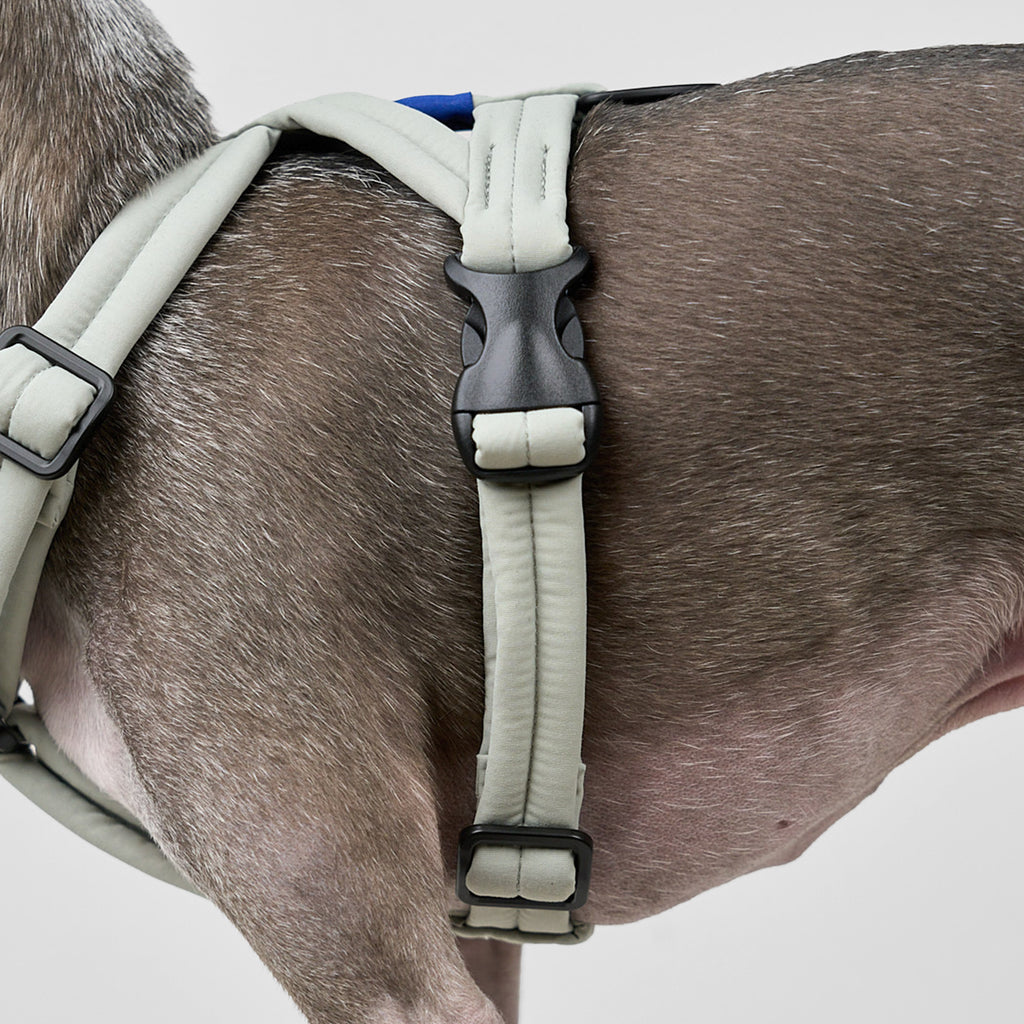 MALLOW-CORE™ HARNESS