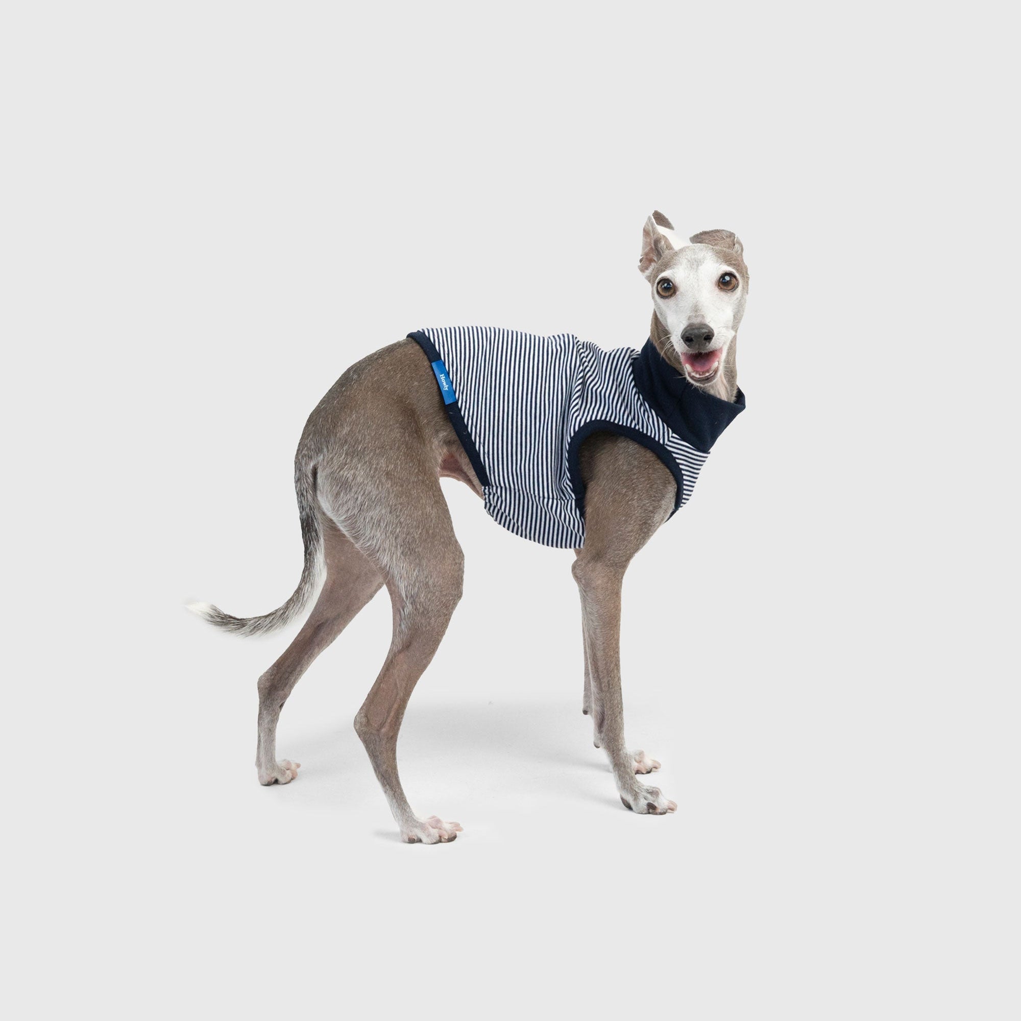 DOG PACK T-SHIRTS sleeveless (Border)