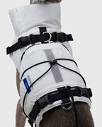 FRAME-X ADV HARNESS