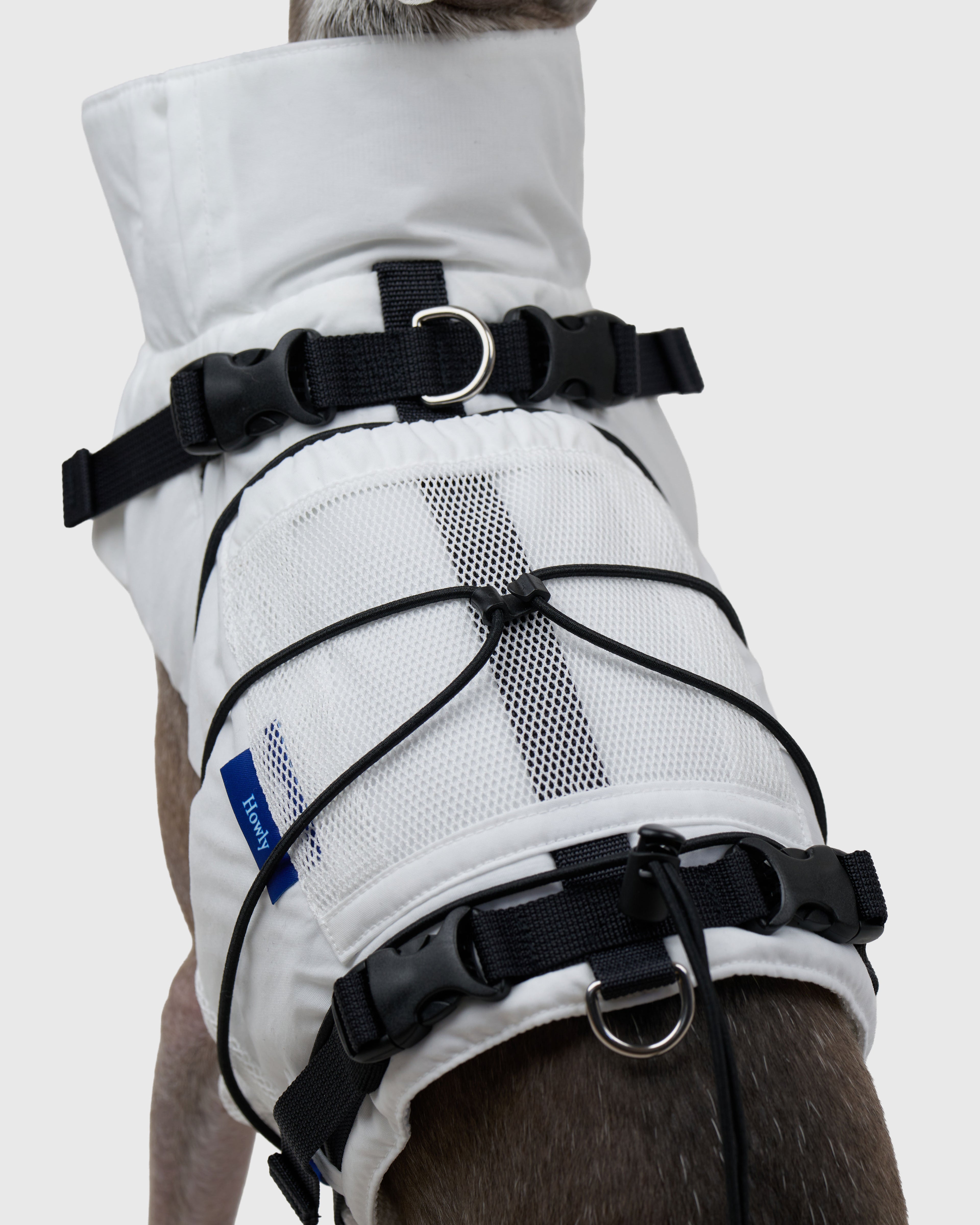 FRAME-X ADV HARNESS