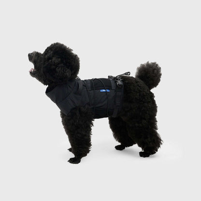 FRAME-X ADV HARNESS