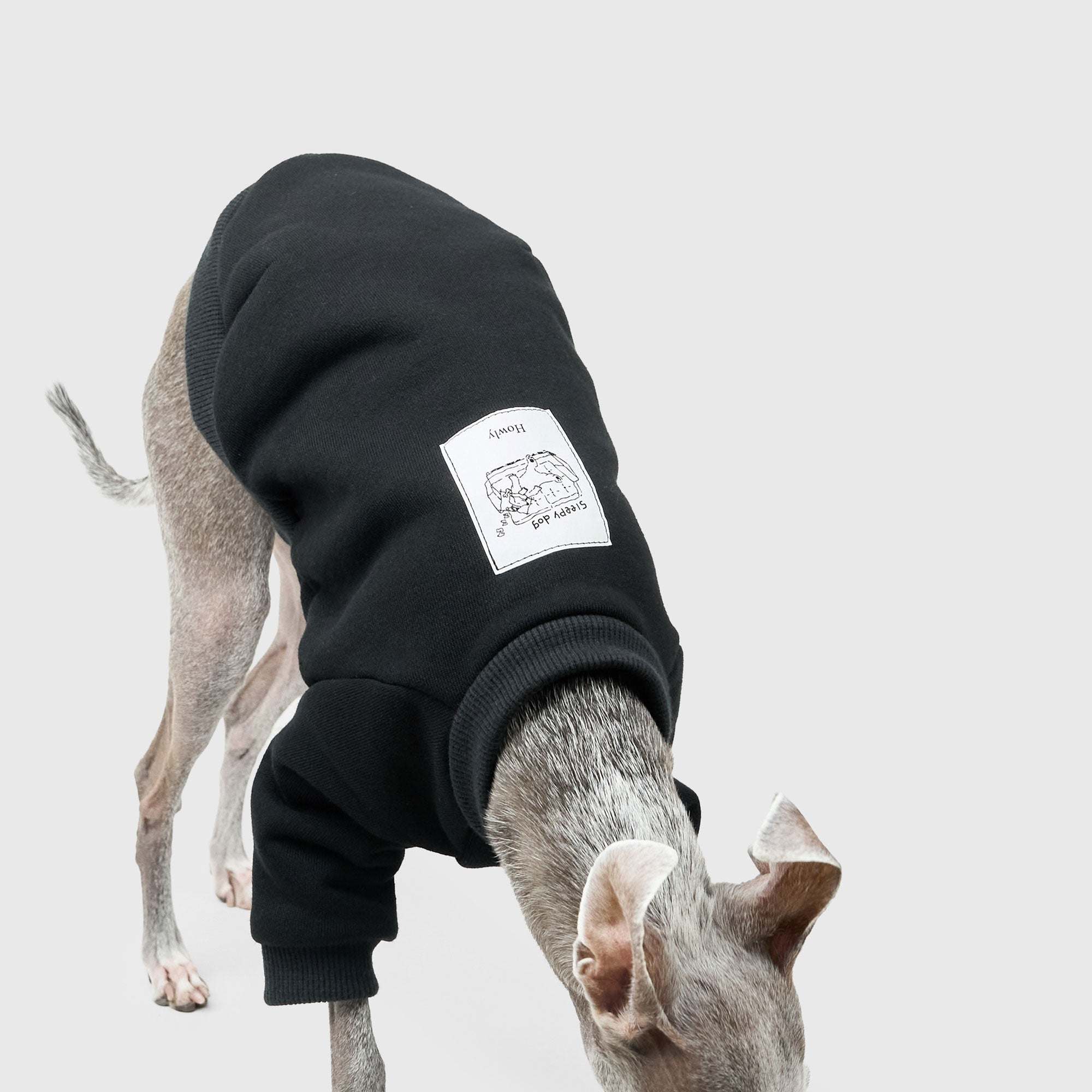 HOWLY "Sleepy dog" SWEAT SHIRT for DOG