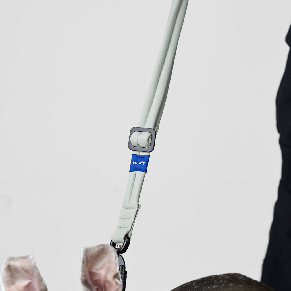 MALLOW-CORE™ LEASH