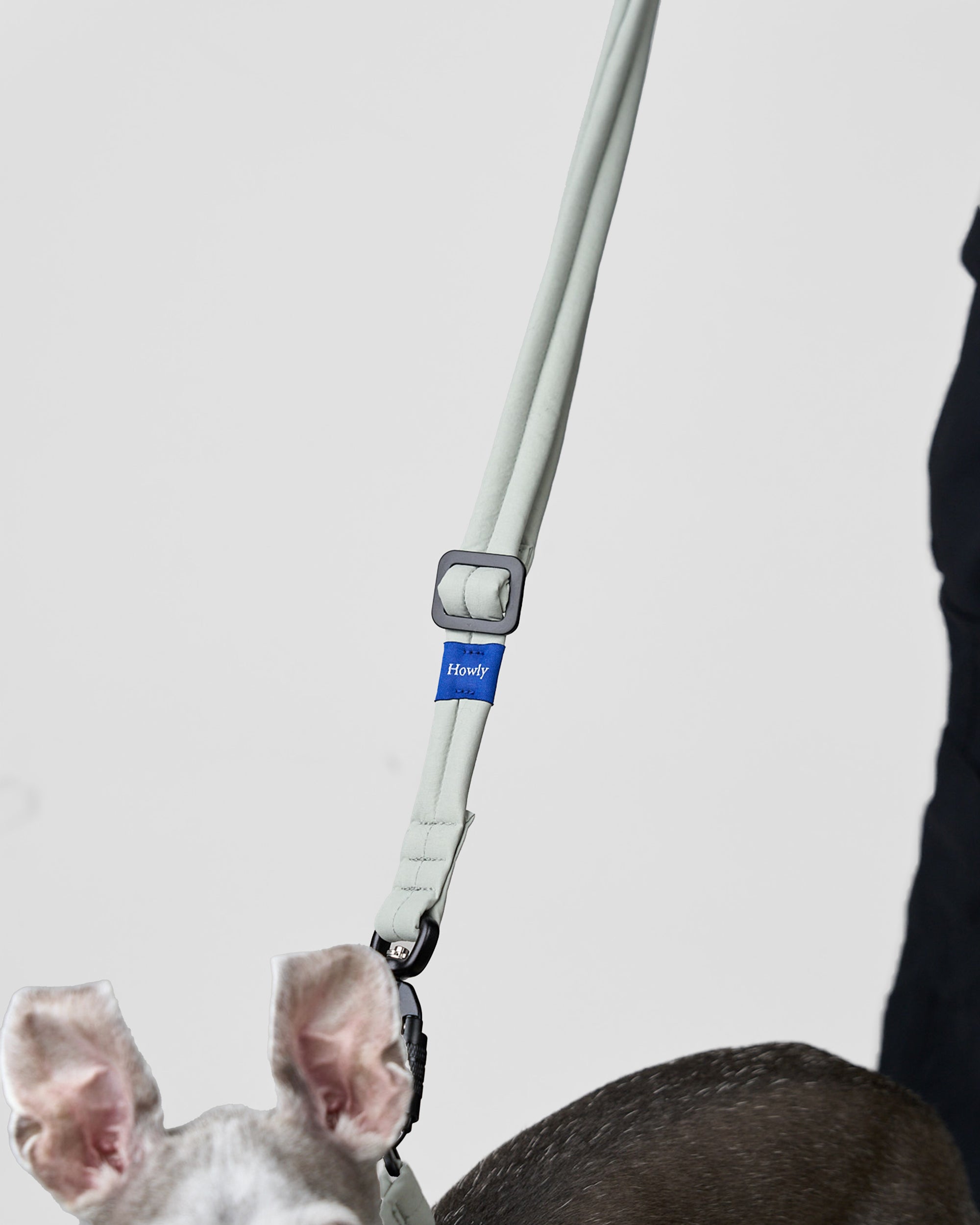 MALLOW-CORE™ LEASH