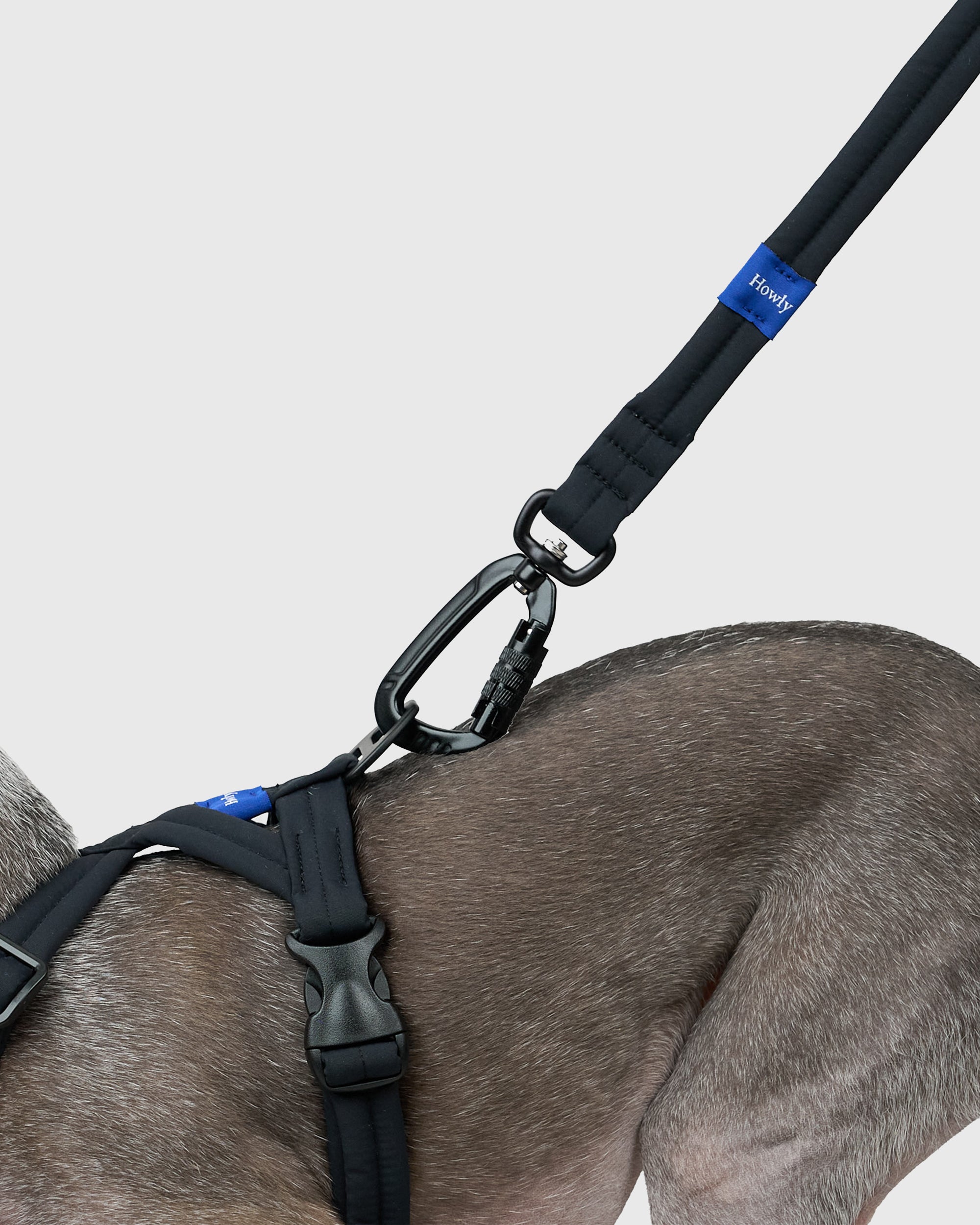 MALLOW-CORE™ LEASH