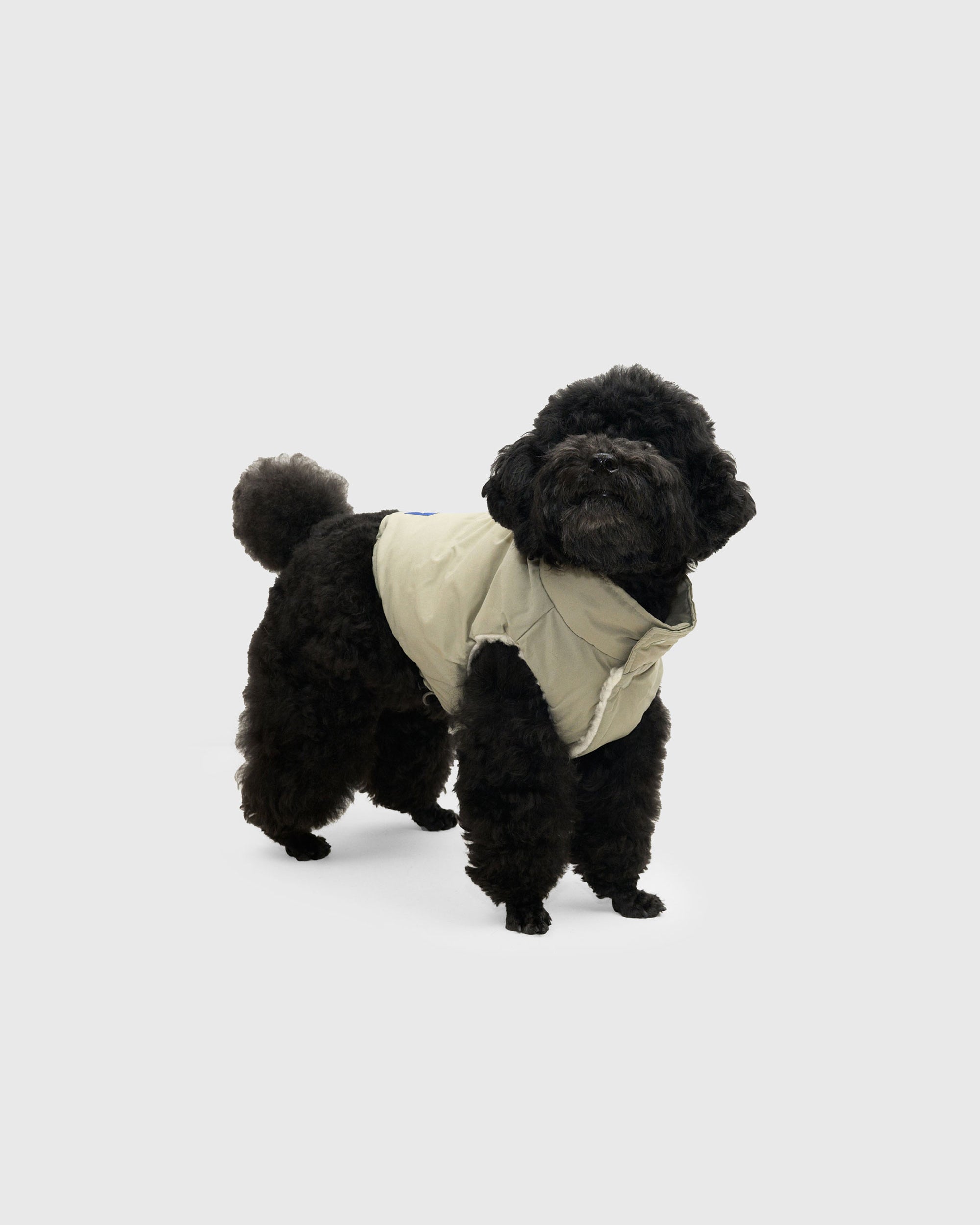 REVERSIBLE BOA VEST