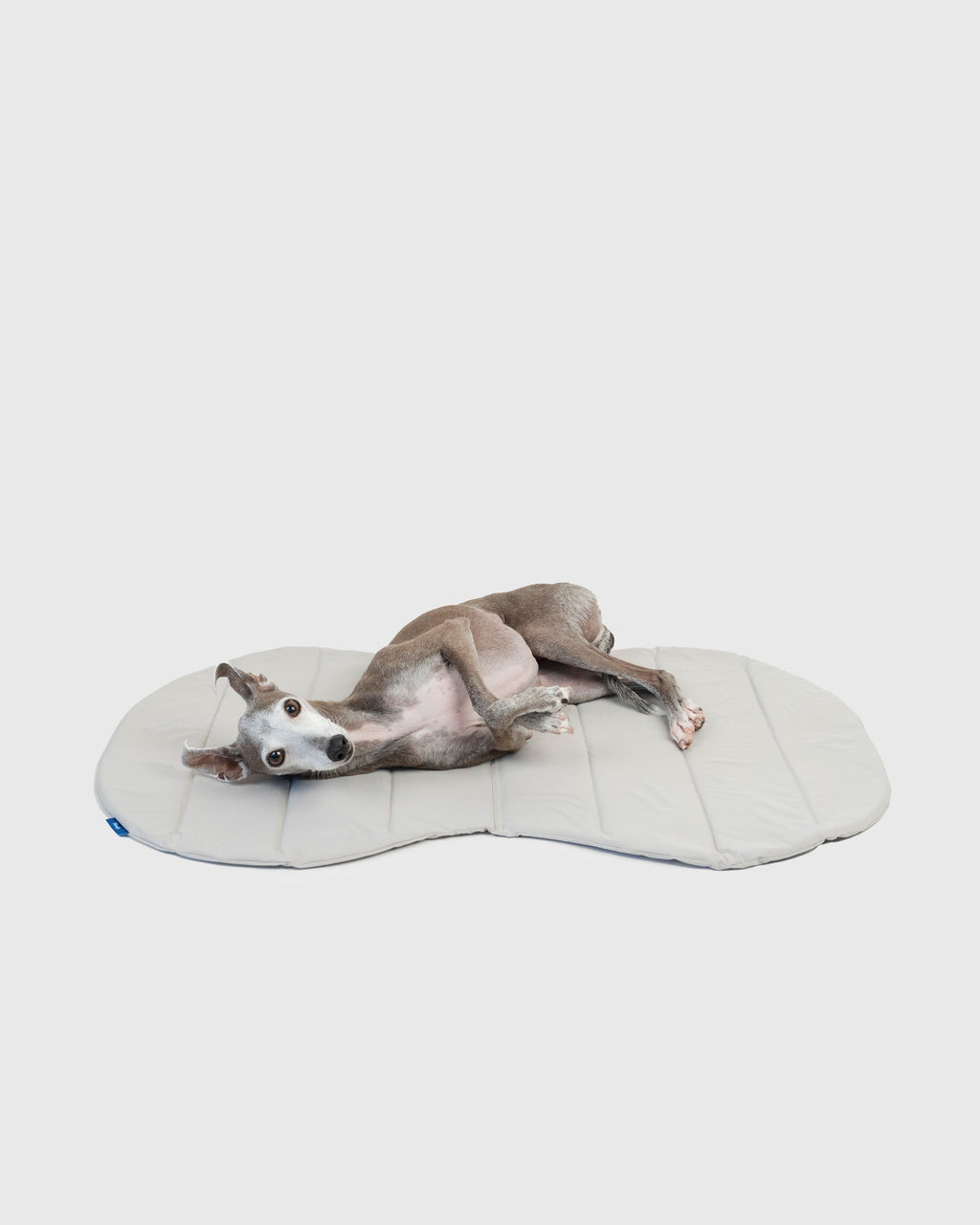PACKABLE UTILITY DOG MAT