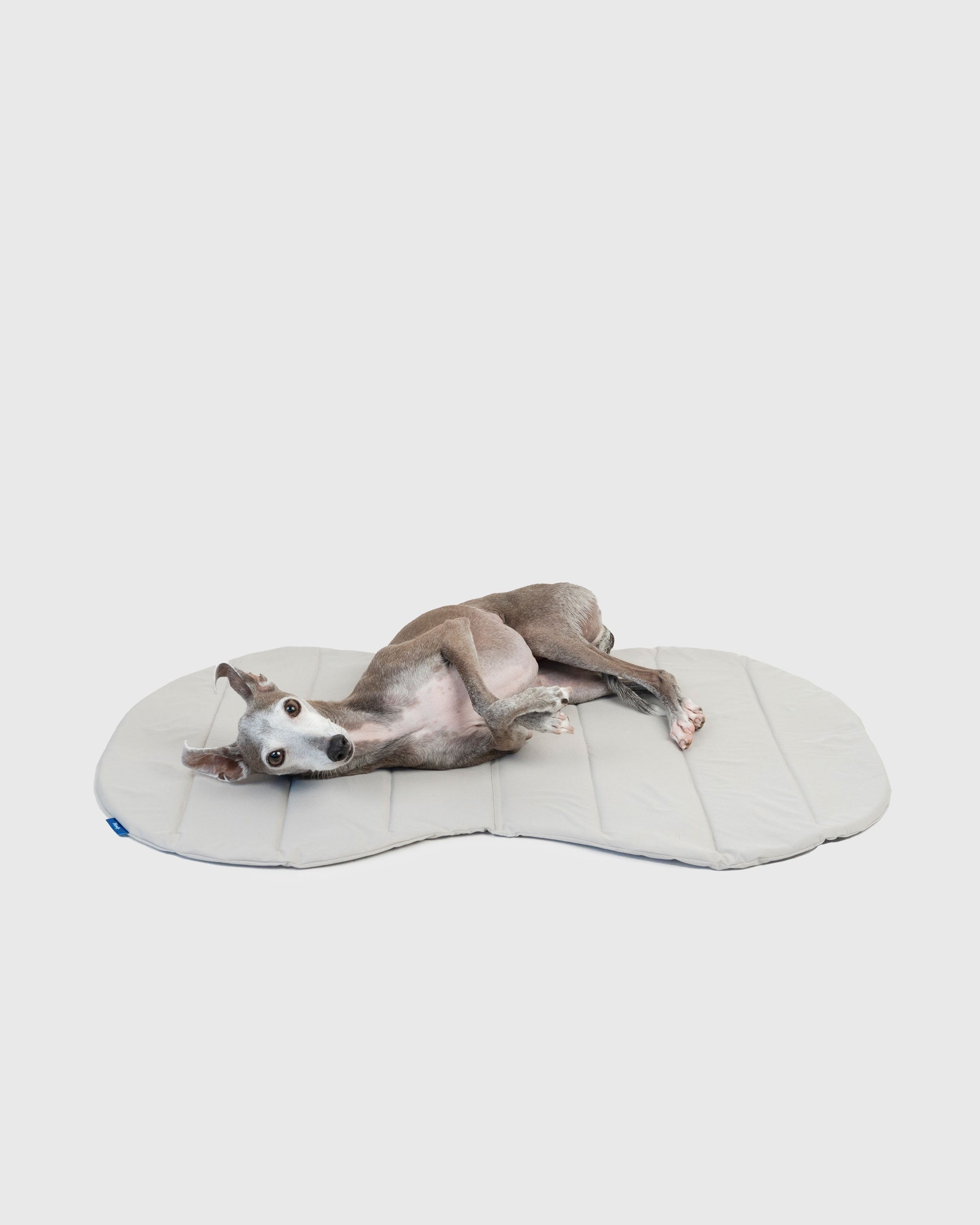 PACKABLE UTILITY DOG MAT