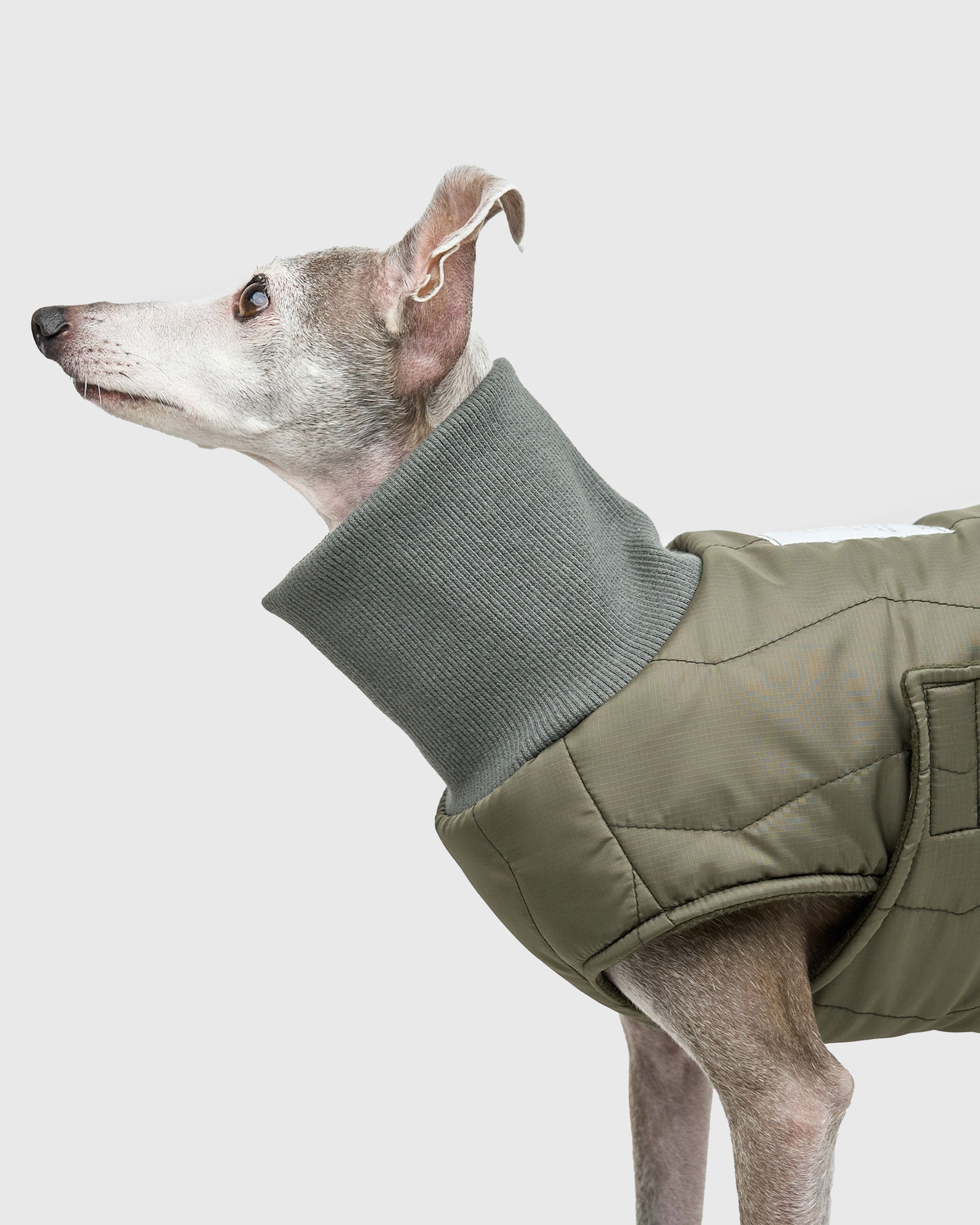 QUILTED LINER COAT