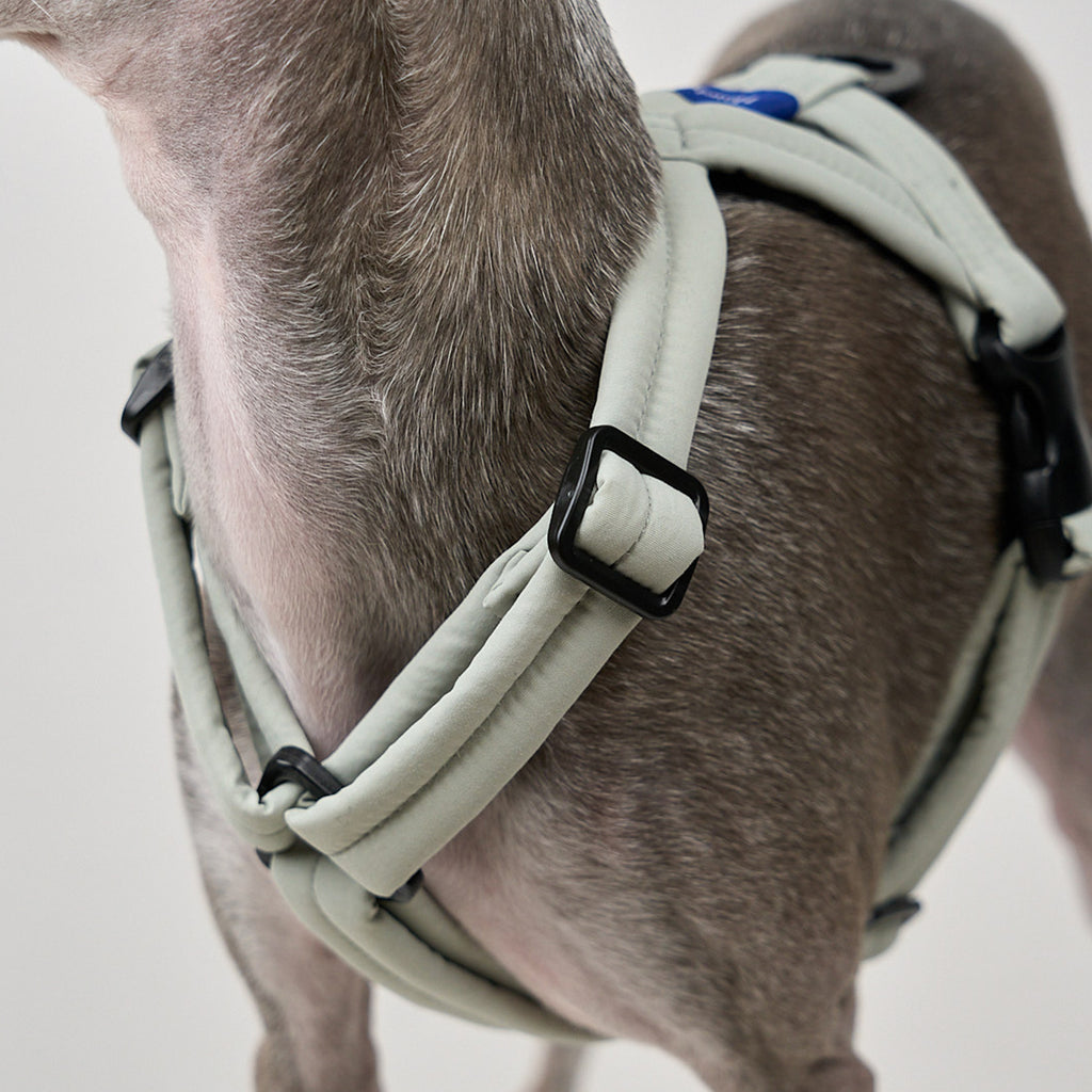 MALLOW-CORE™ HARNESS