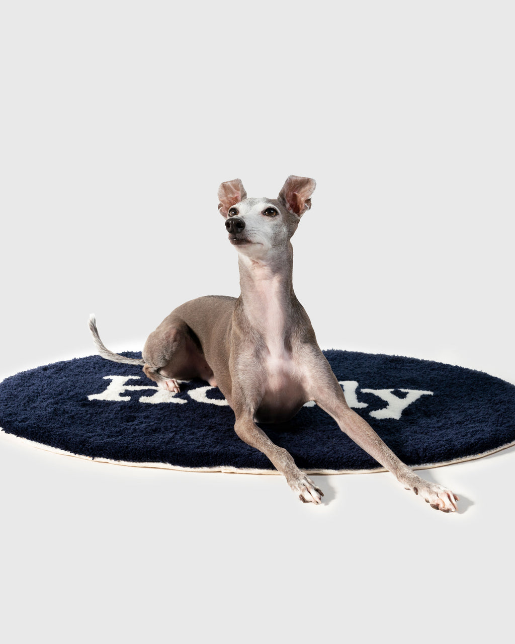 HOWLY DOG RUG (1st Anniversary Limited Edition)