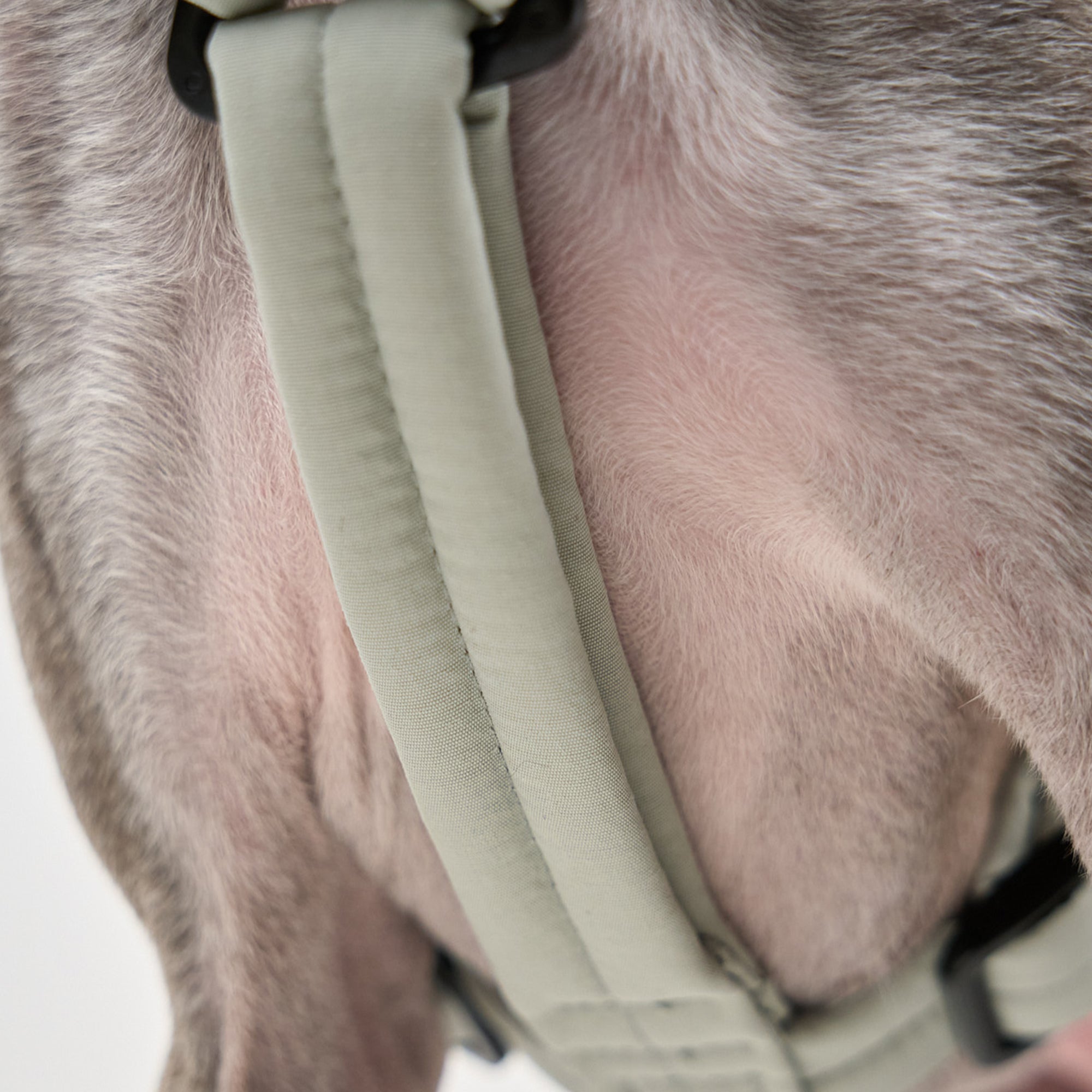 MALLOW-CORE™ HARNESS