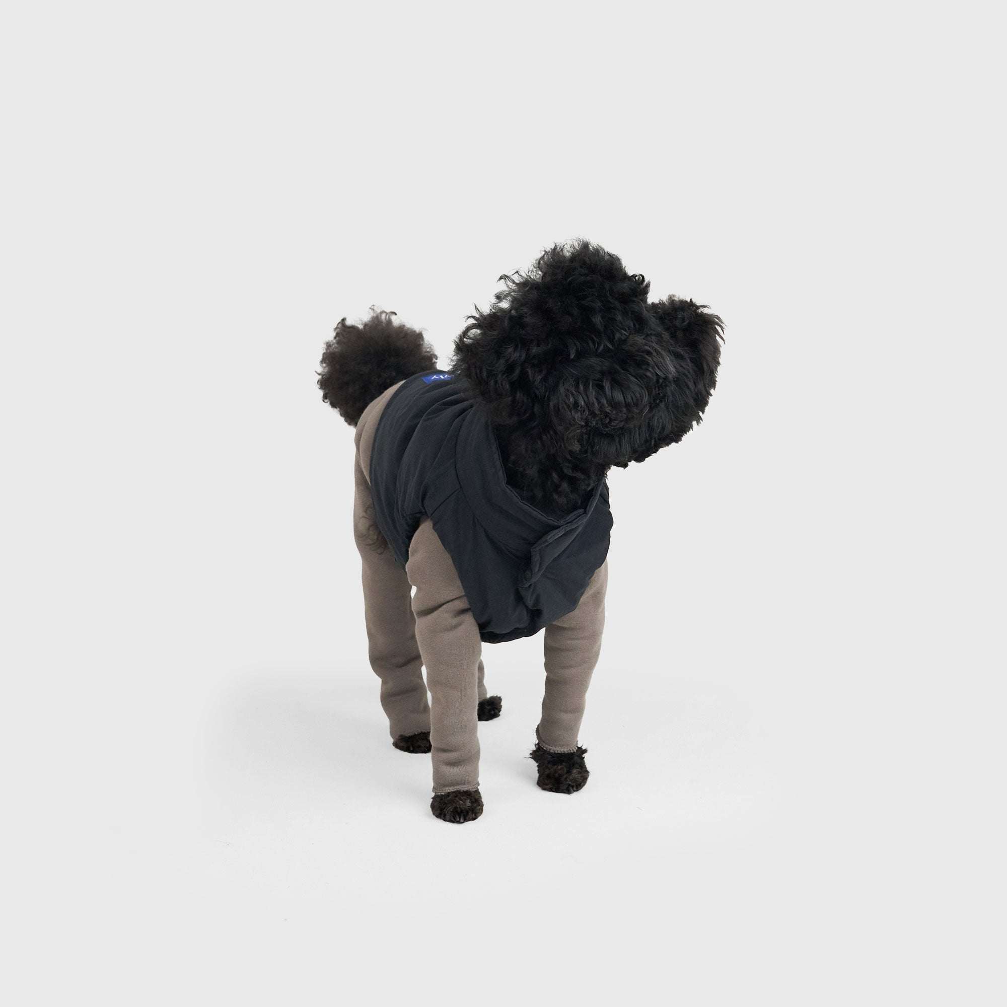 WARM SWEAT ROMPERS（cutoff）| カスタム可能 裏パイル保温 ドッグ