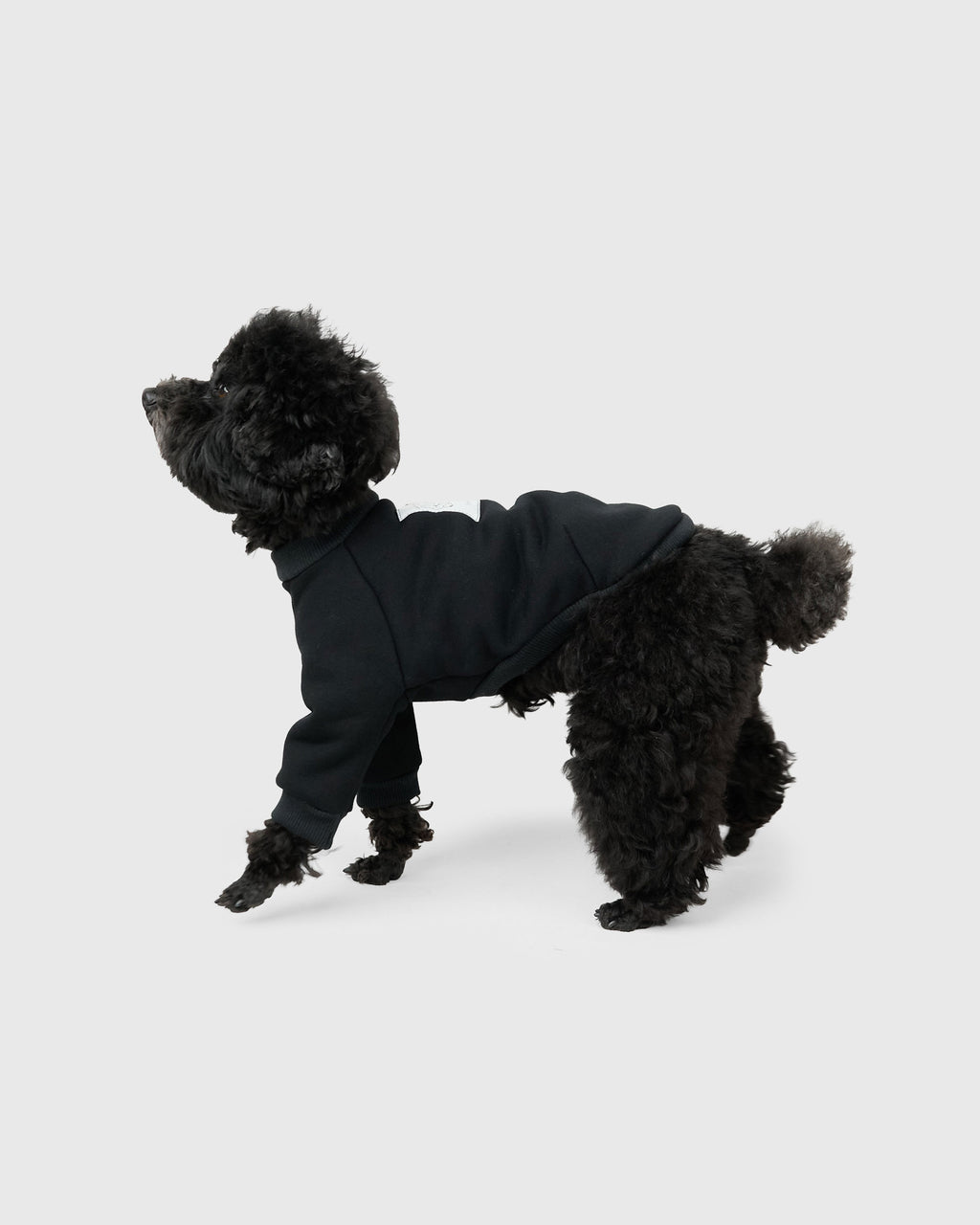 HOWLY "Sleepy dog" SWEAT SHIRT for DOG