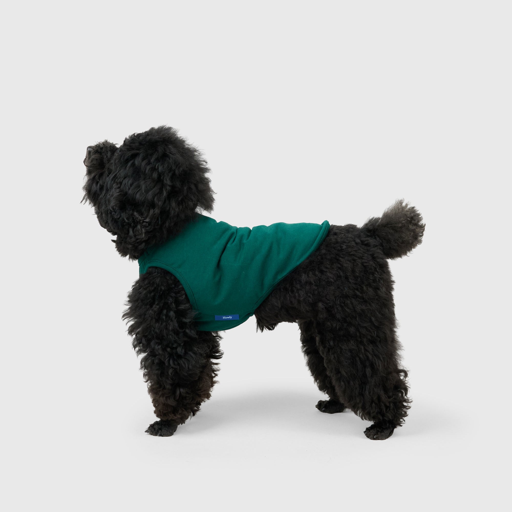 DOG PACK T-SHIRTS sleeveless (Green)