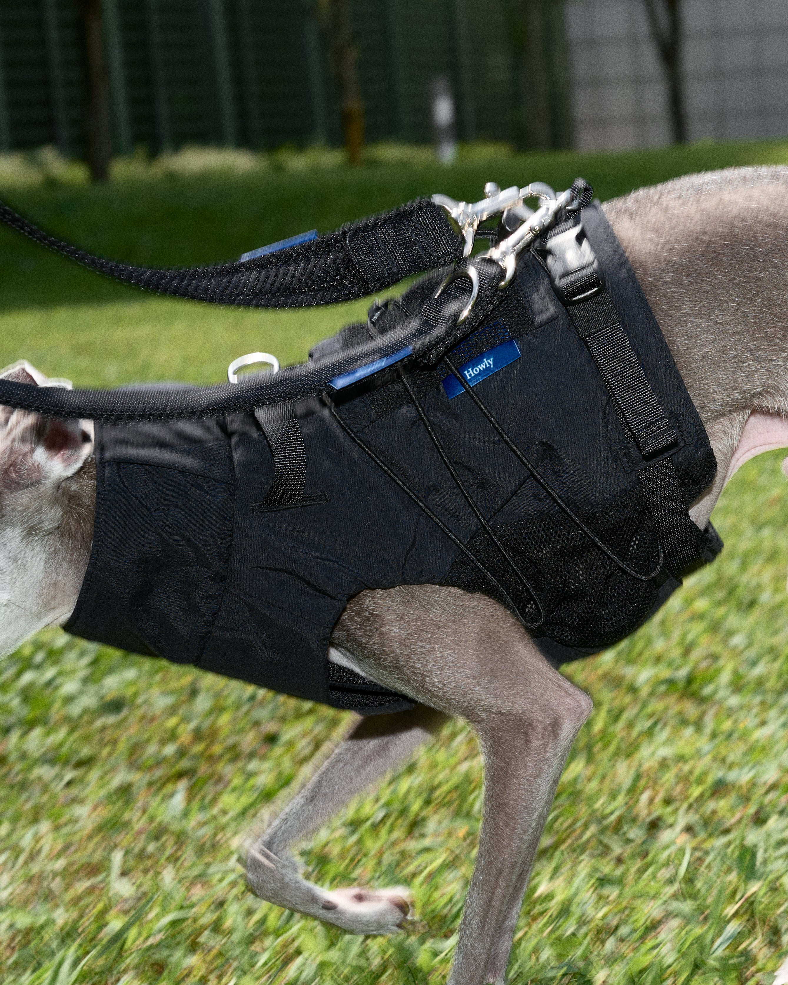 FRAME-X ADV HARNESS | Howly | 収納ポケット付ウェアハーネス｜撥水