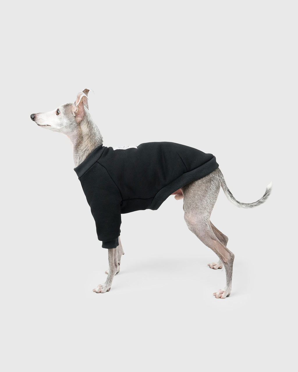 HOWLY "Sleepy dog" SWEAT SHIRT for DOG