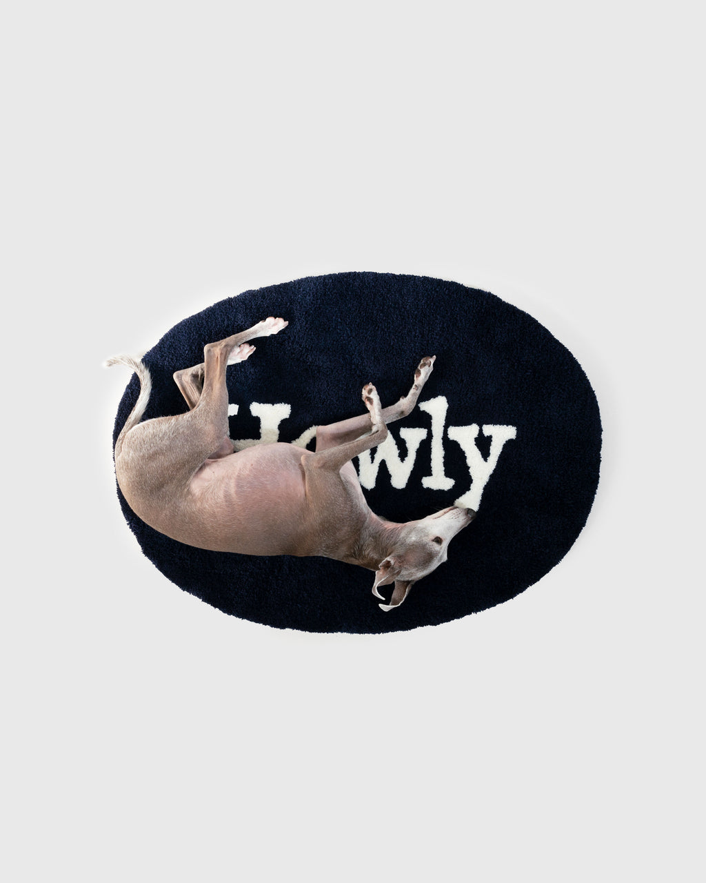 HOWLY DOG RUG (1st Anniversary Limited Edition)