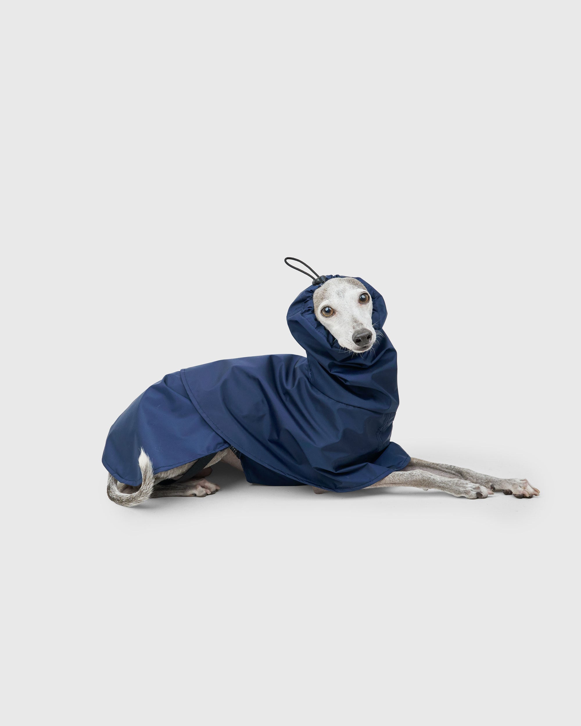 YOKE-SHELL RAINCOAT